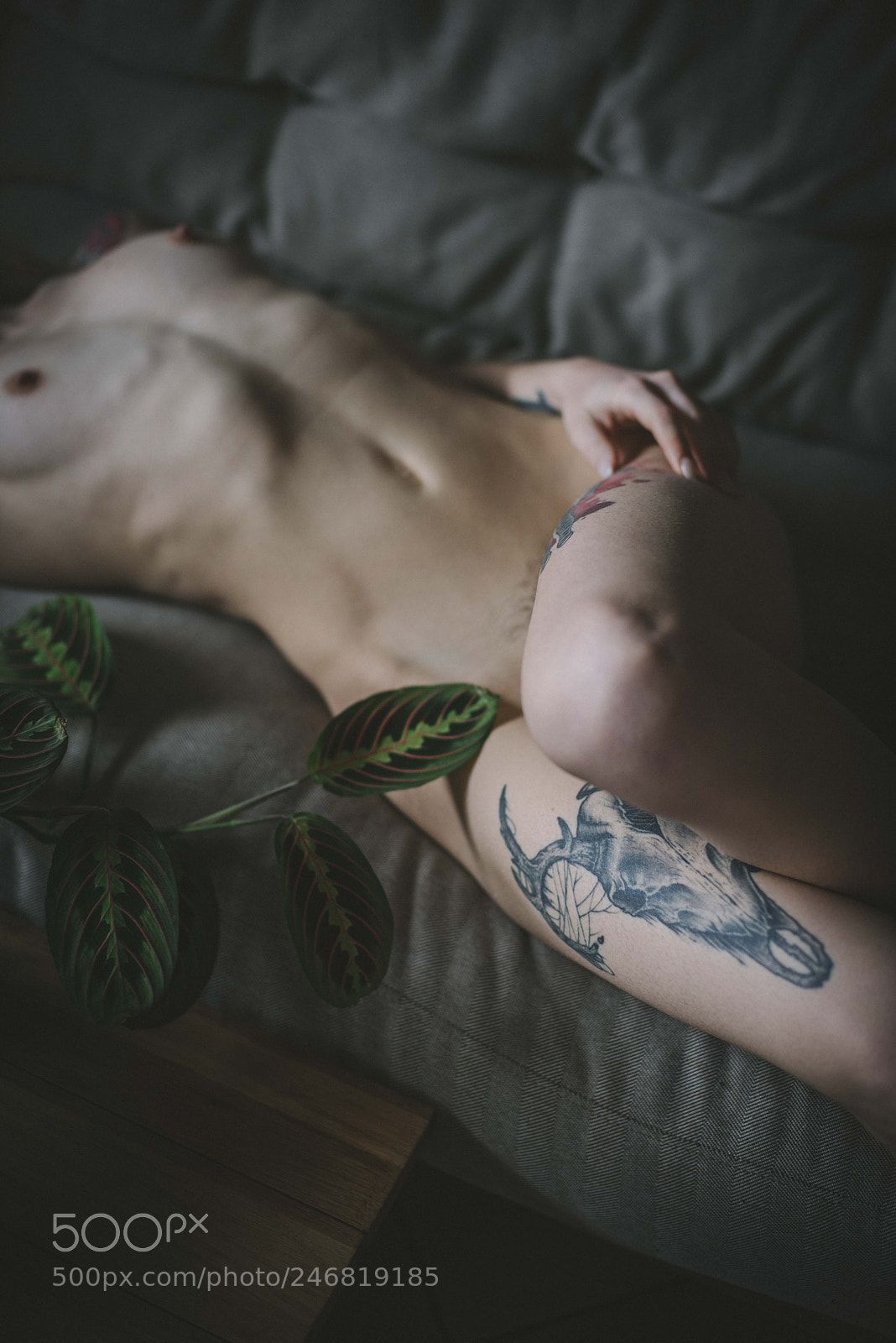 Nikon D810 sample photo. Artistic nude photography