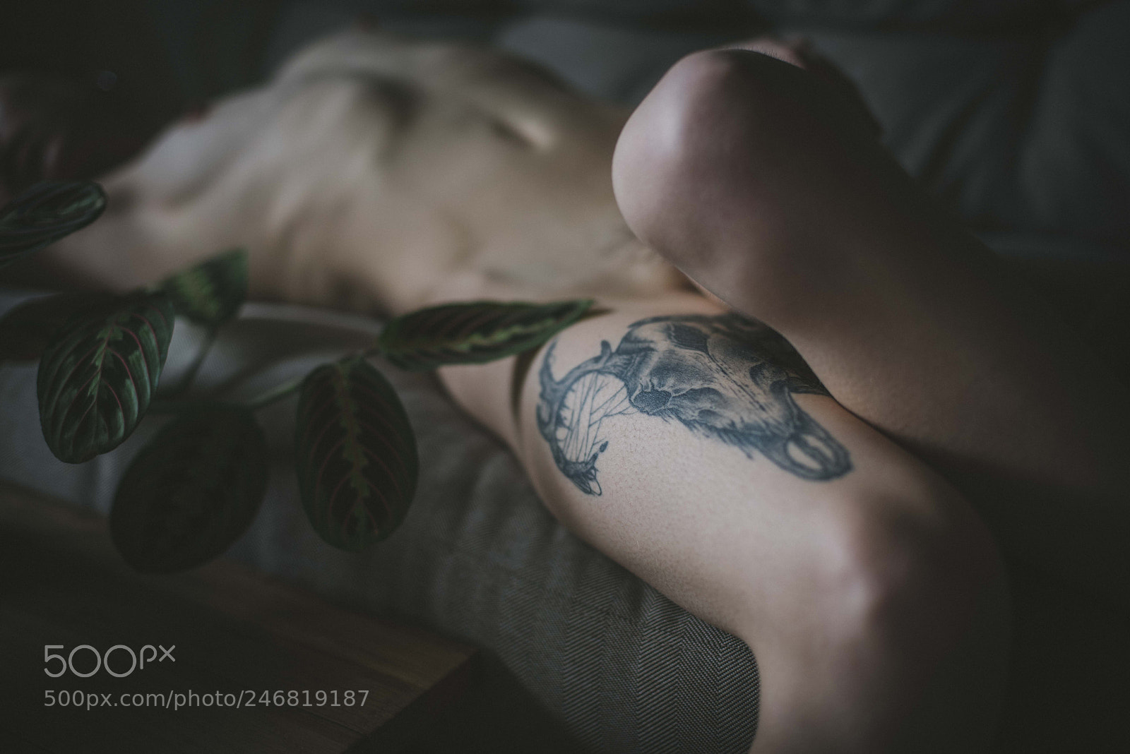 Nikon D810 sample photo. Artistic nude photography