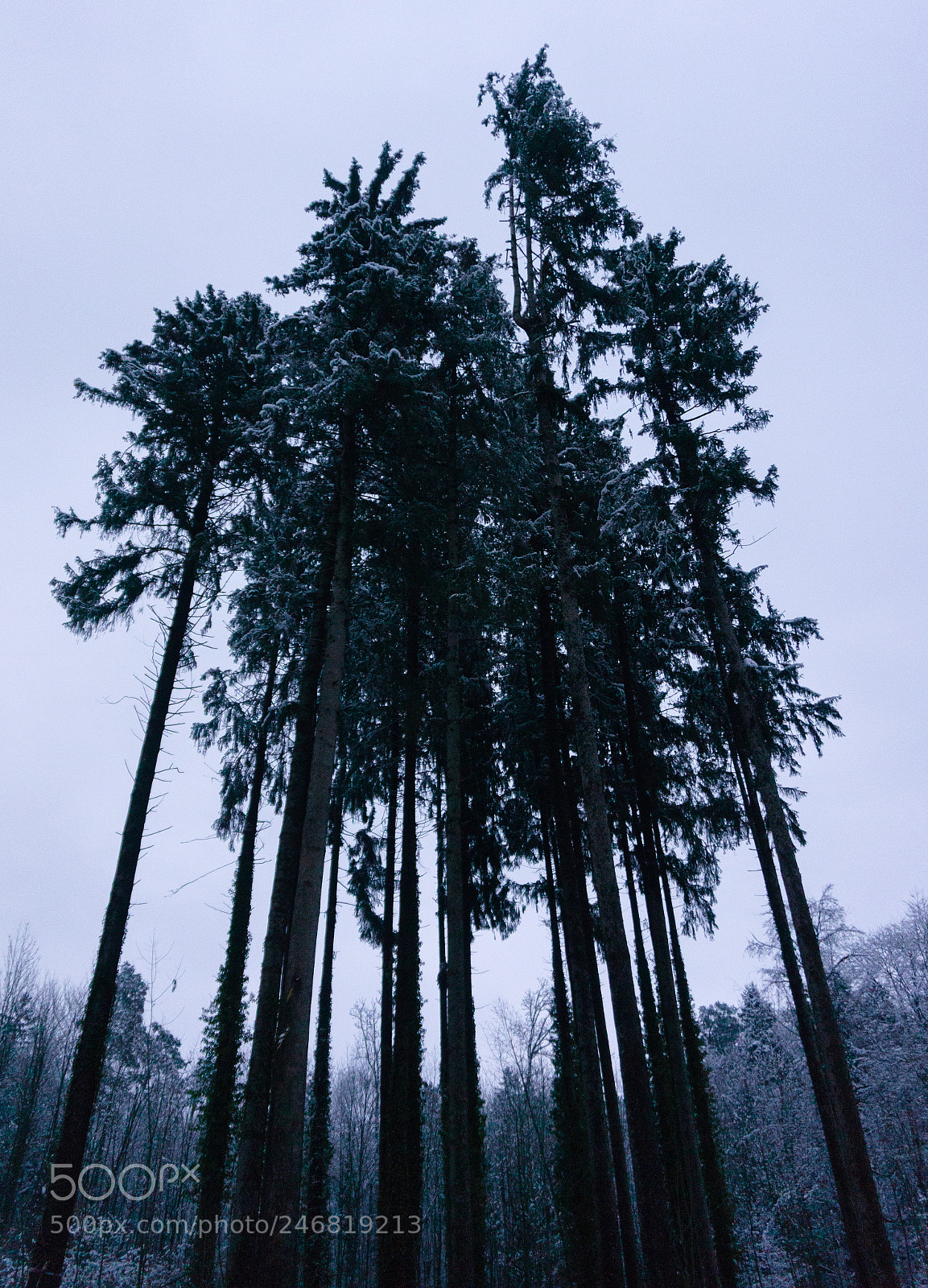 Sony Alpha a5000 (ILCE 5000) sample photo. Climbing out of disaster. photography