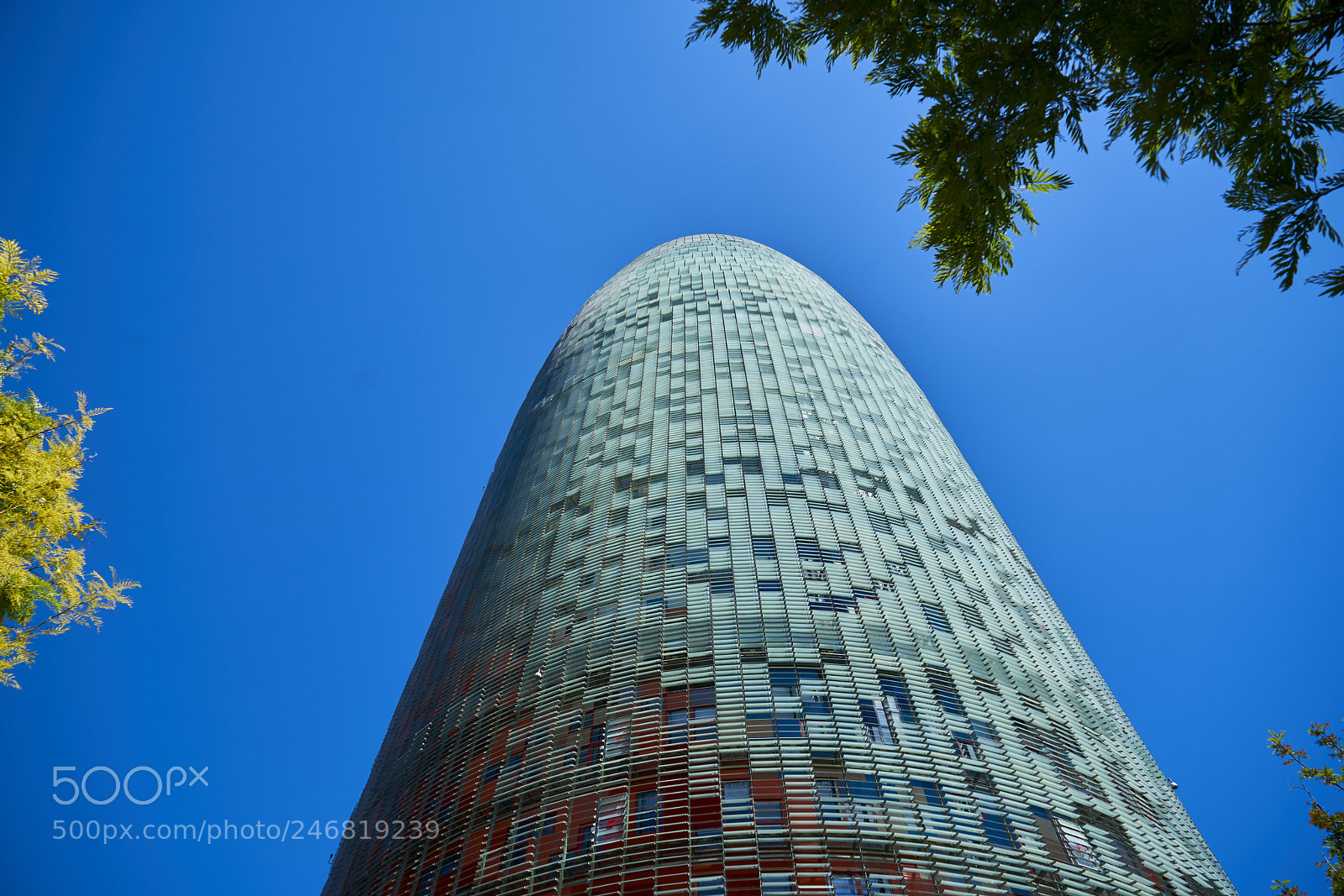 Sony a7R II sample photo. Barcelona photography