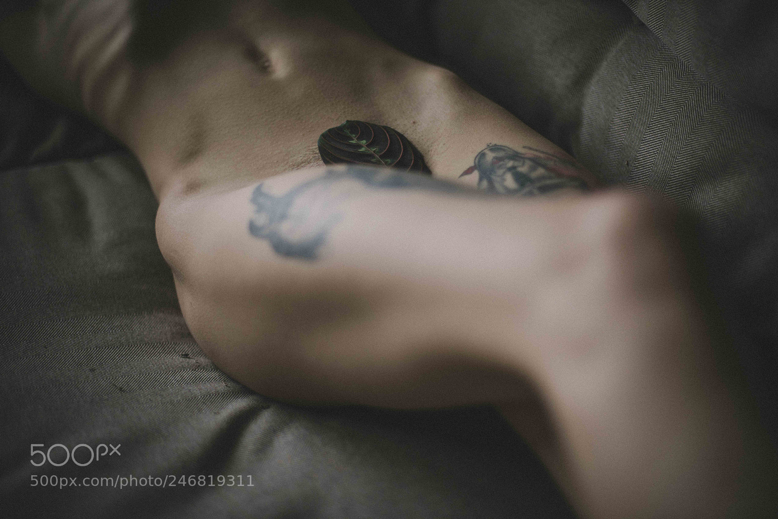Nikon D810 sample photo. Artistic nude photography