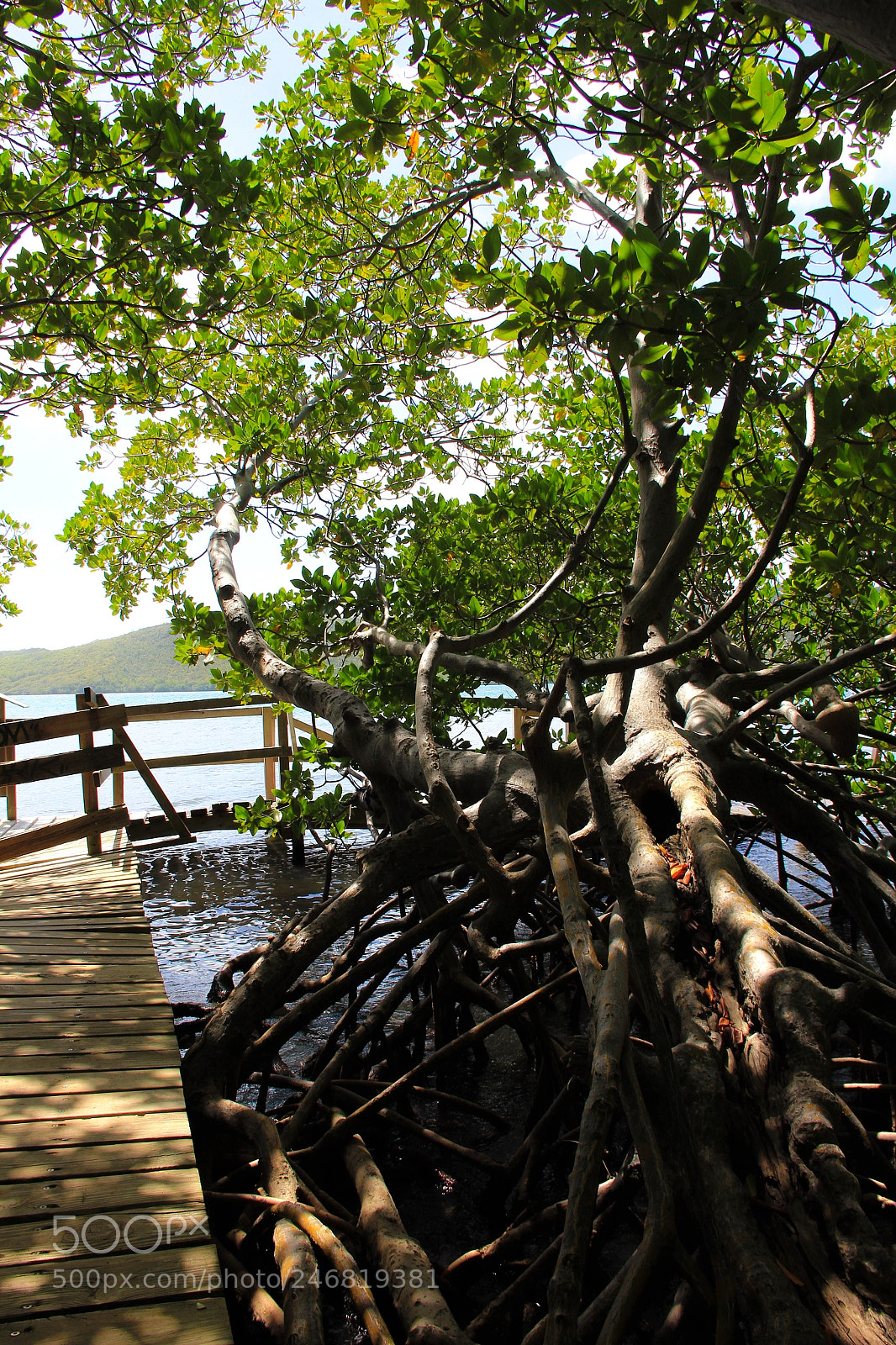 Canon EOS 60D sample photo. Untitled photography