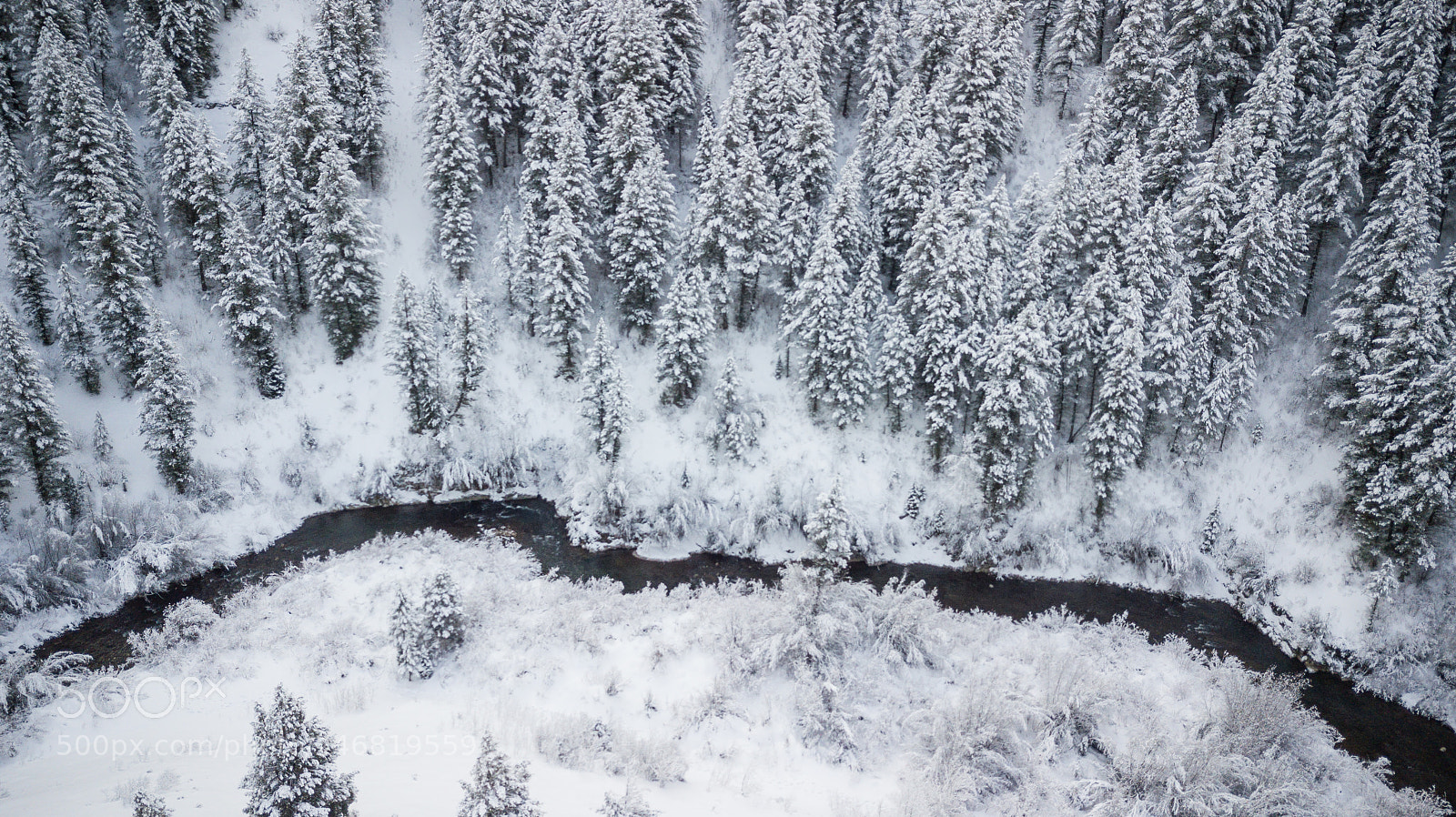DJI FC220 sample photo. Snow flocked trees photography