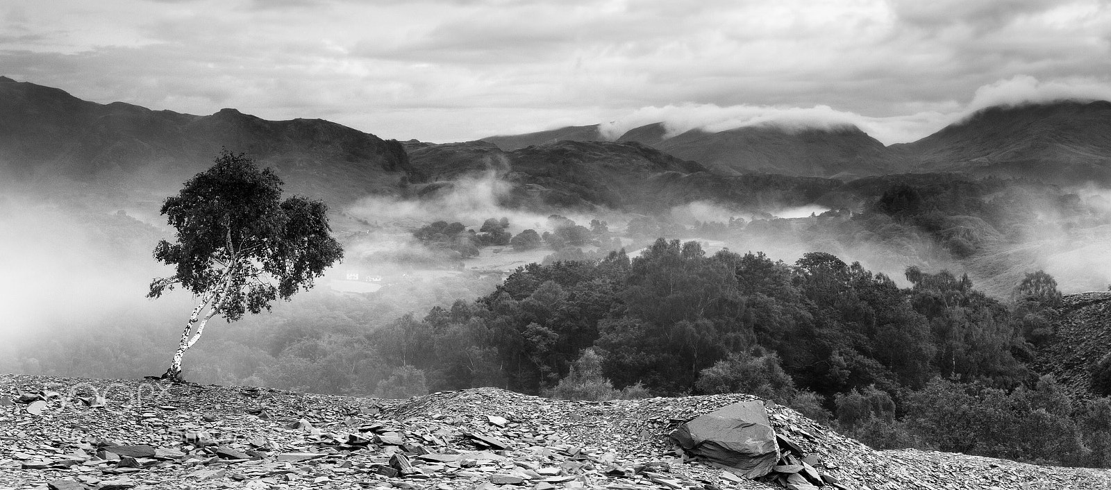 Canon EOS 7D sample photo. Misty morning in the photography