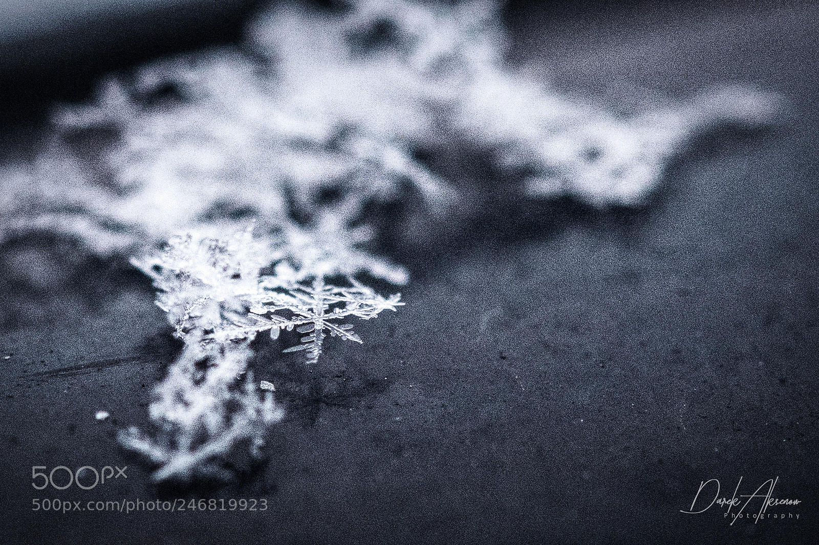Nikon D850 sample photo. Snowflake photography