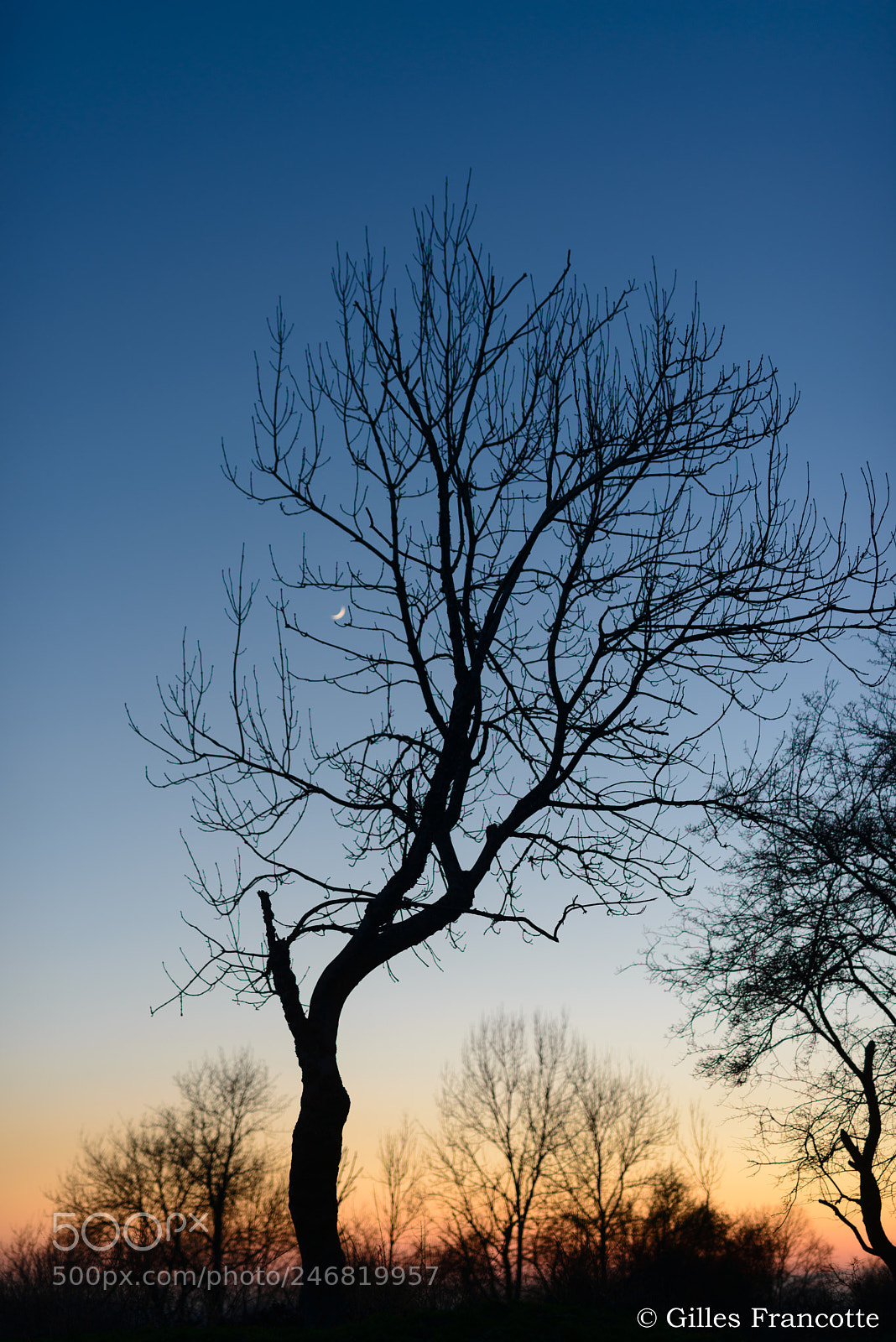 Nikon D800 sample photo. Sunset. photography