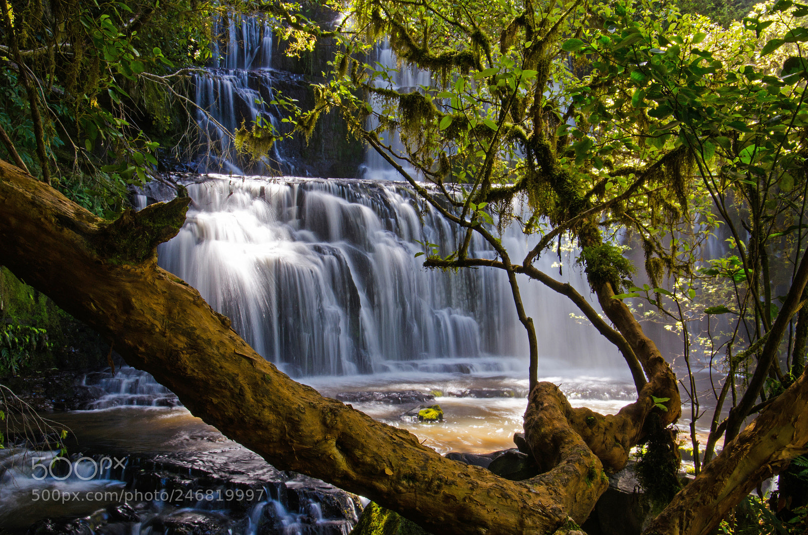 Nikon D5100 sample photo. Magic fairy fall photography