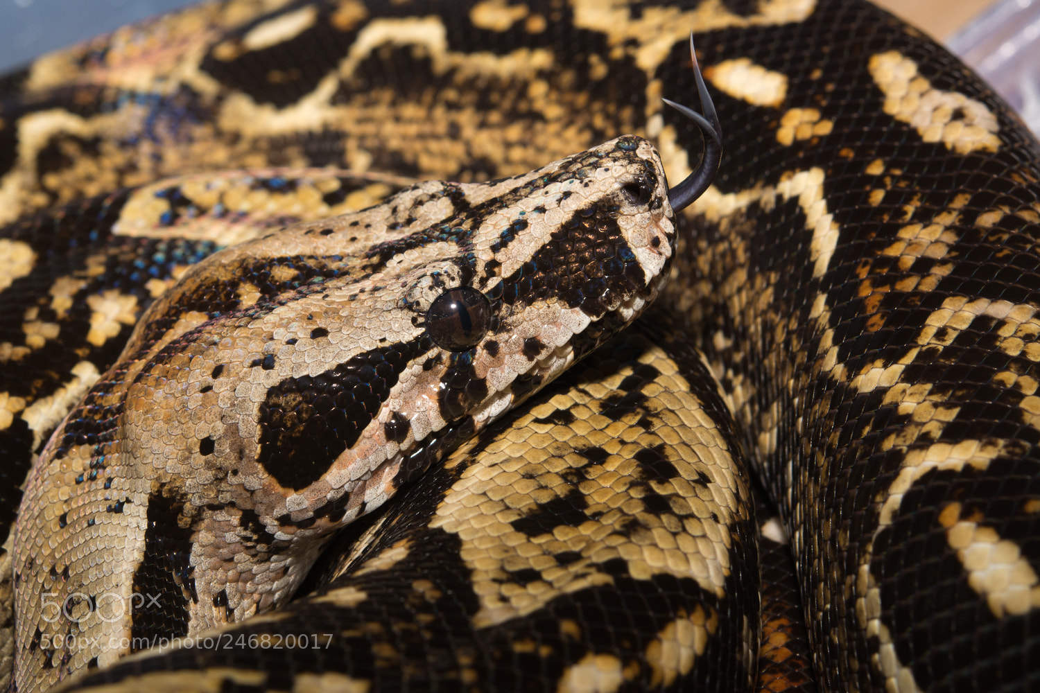 Nikon D7100 sample photo. Contrast photography