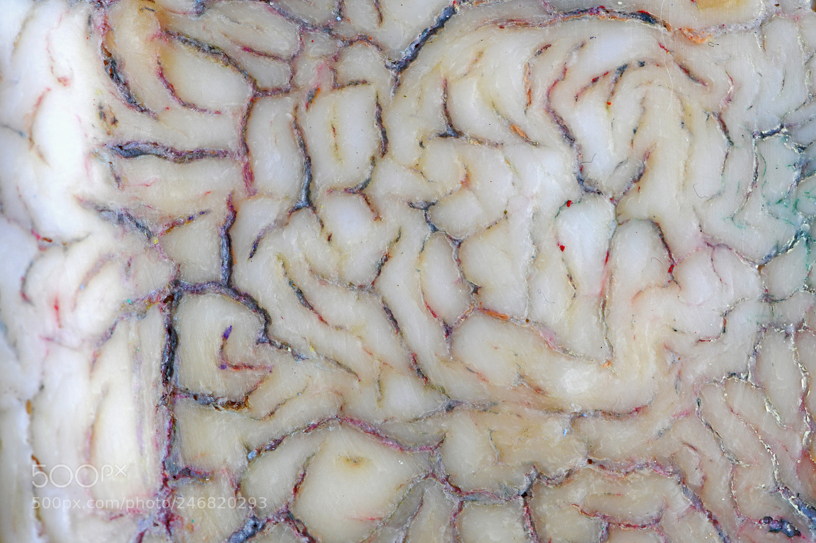 Nikon D850 sample photo. Soap or brain photography