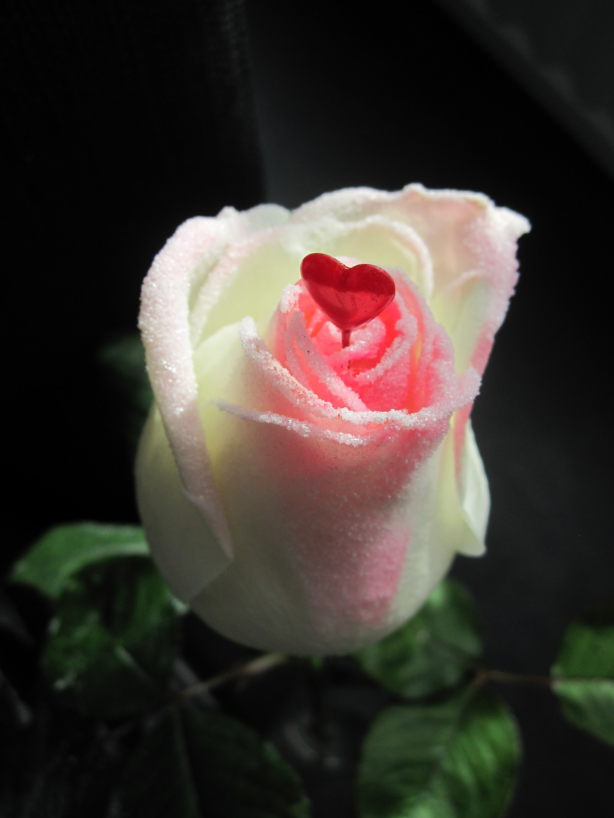 Canon PowerShot SD780 IS (Digital IXUS 100 IS / IXY Digital 210 IS) sample photo. Img photography