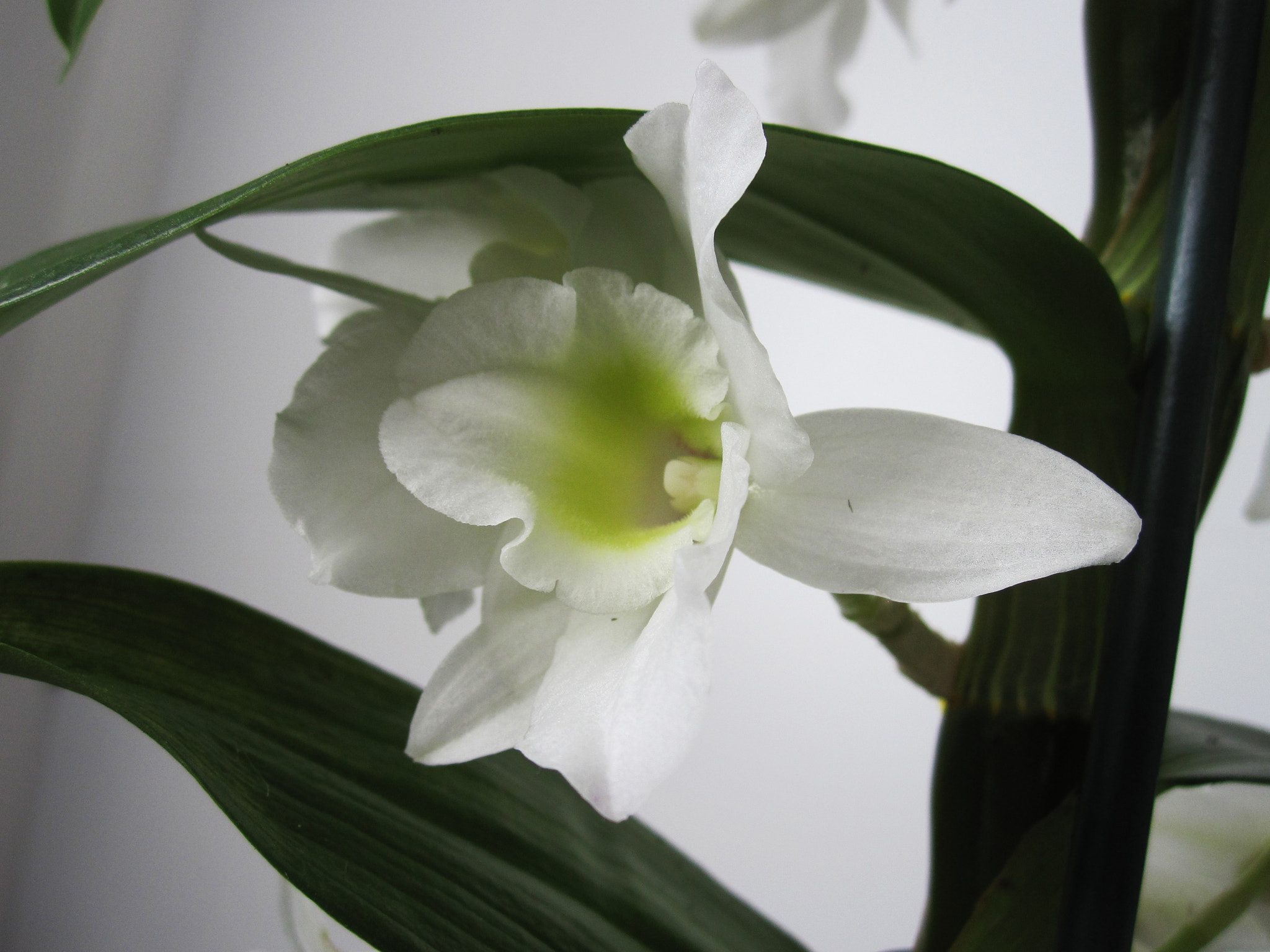 Canon PowerShot SD780 IS (Digital IXUS 100 IS / IXY Digital 210 IS) sample photo. Img photography