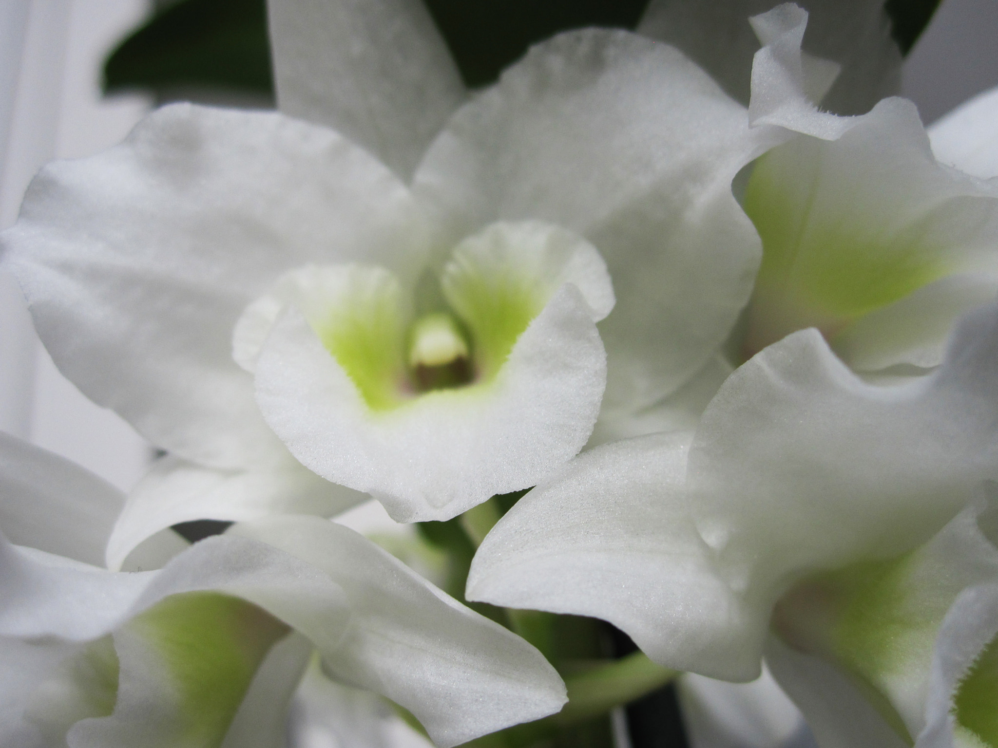 Canon PowerShot SD780 IS (Digital IXUS 100 IS / IXY Digital 210 IS) sample photo. Img photography