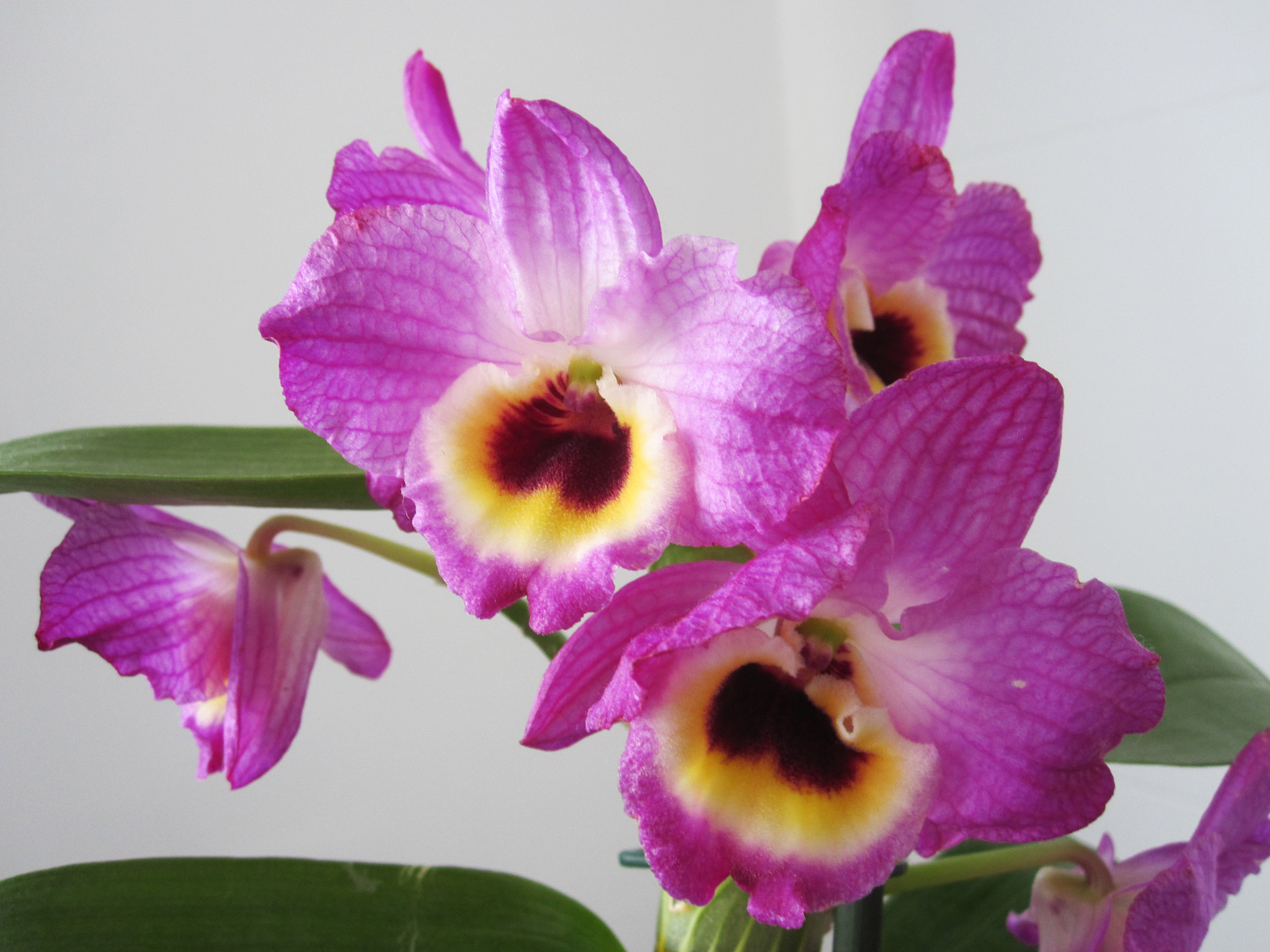 Canon PowerShot SD780 IS (Digital IXUS 100 IS / IXY Digital 210 IS) sample photo. Img photography