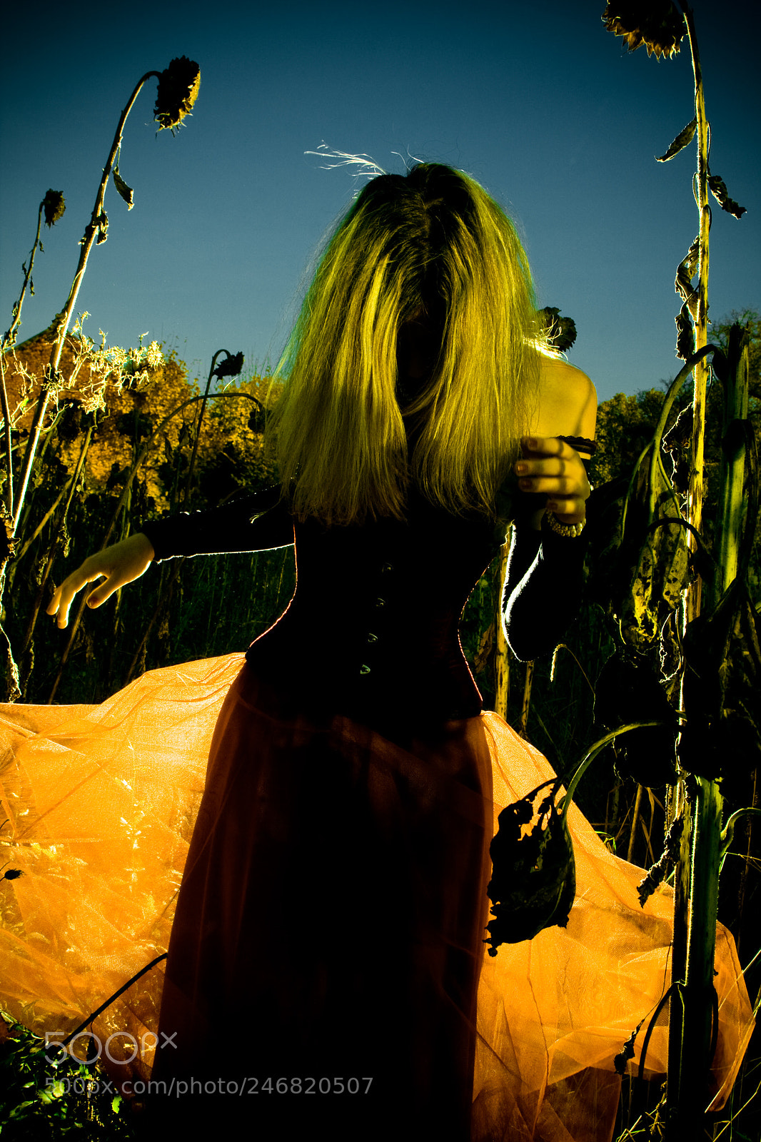 Canon EOS 40D sample photo. Young woman standing in photography