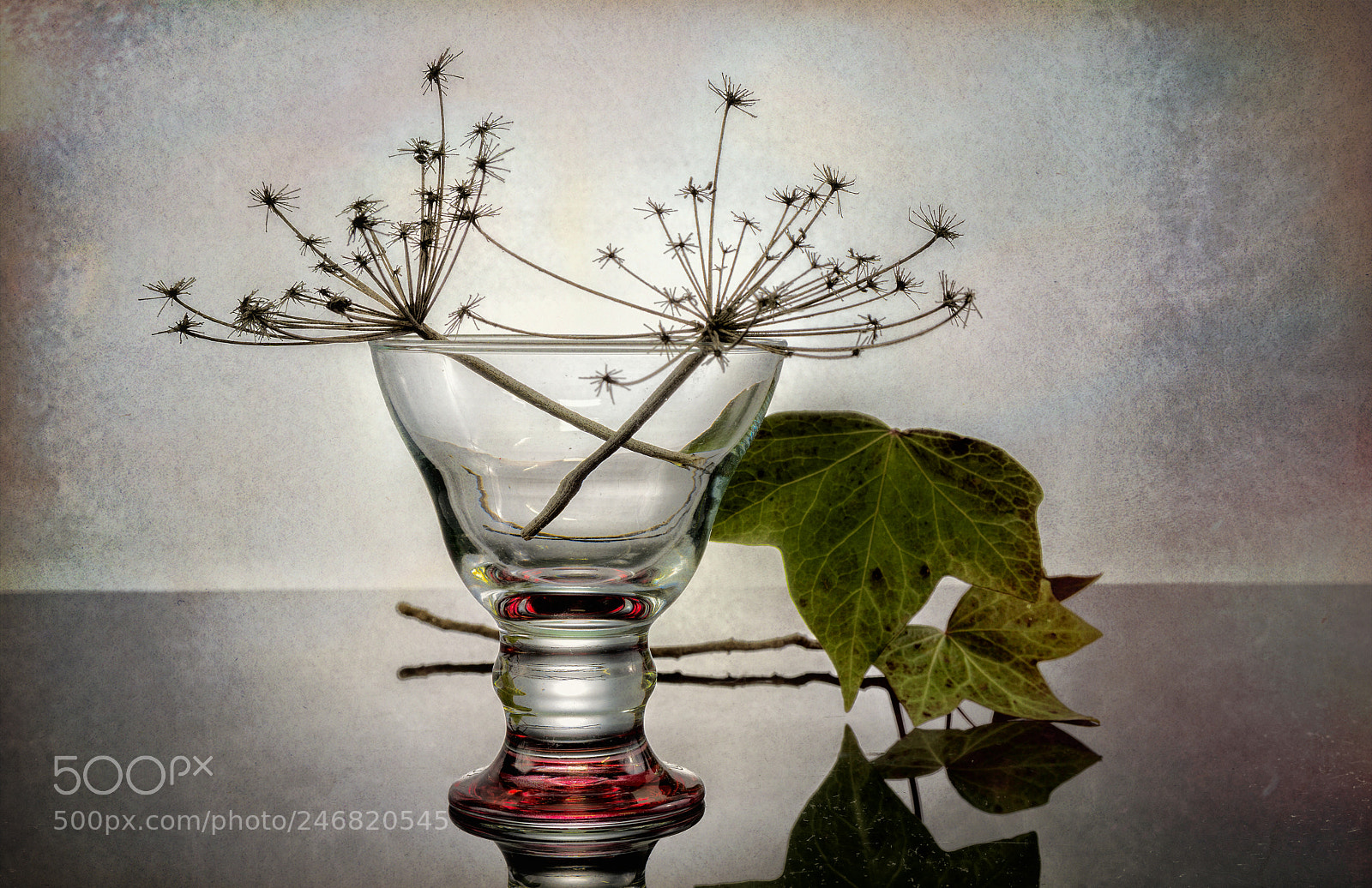 Nikon D7100 sample photo. Still life photography