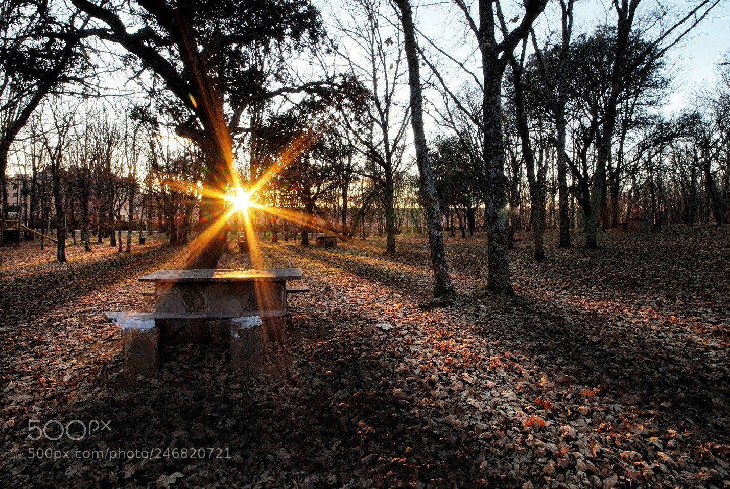 Sony SLT-A58 sample photo. Solazo photography