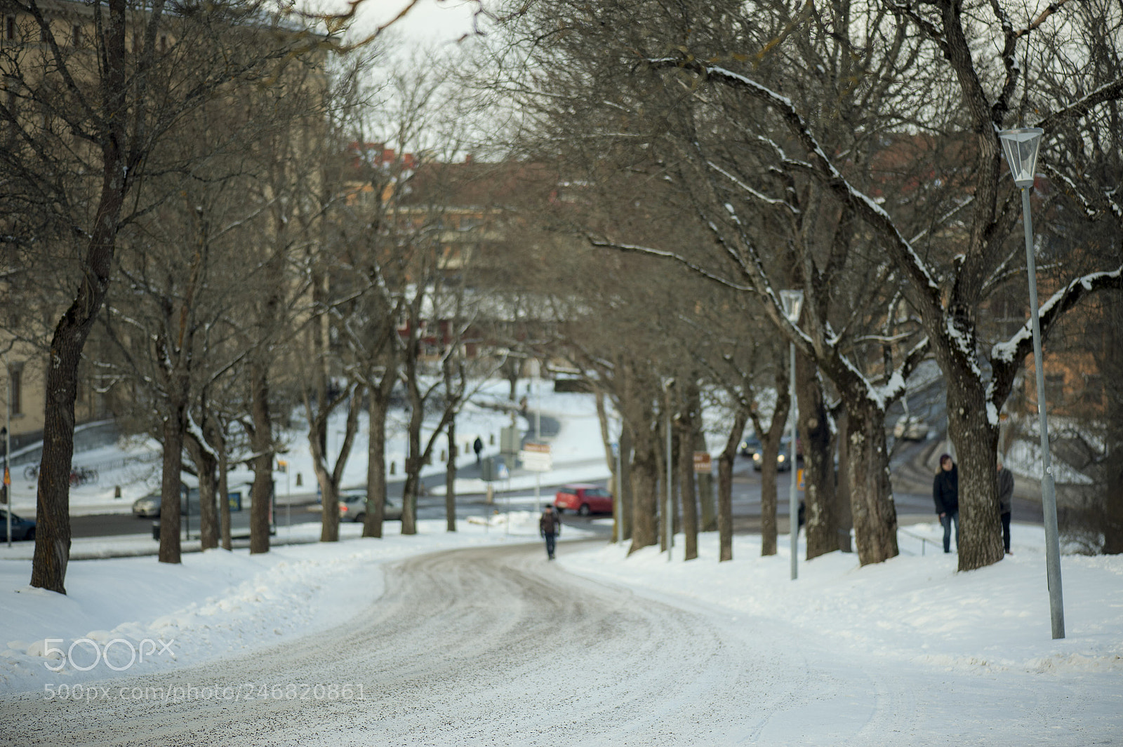 Nikon D700 sample photo. One of the oldest photography