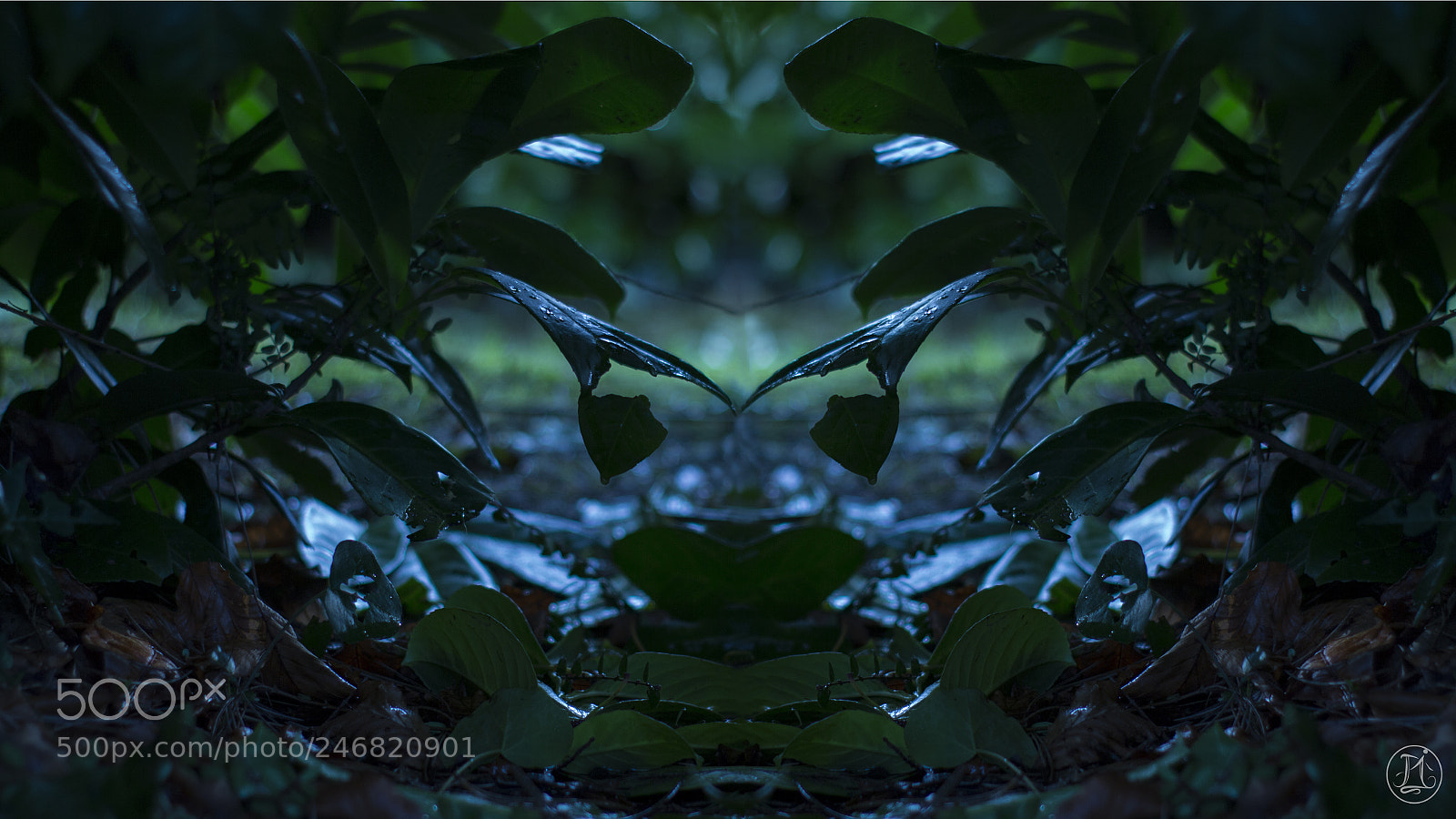 Canon EOS 700D (EOS Rebel T5i / EOS Kiss X7i) sample photo. Symmetry photography