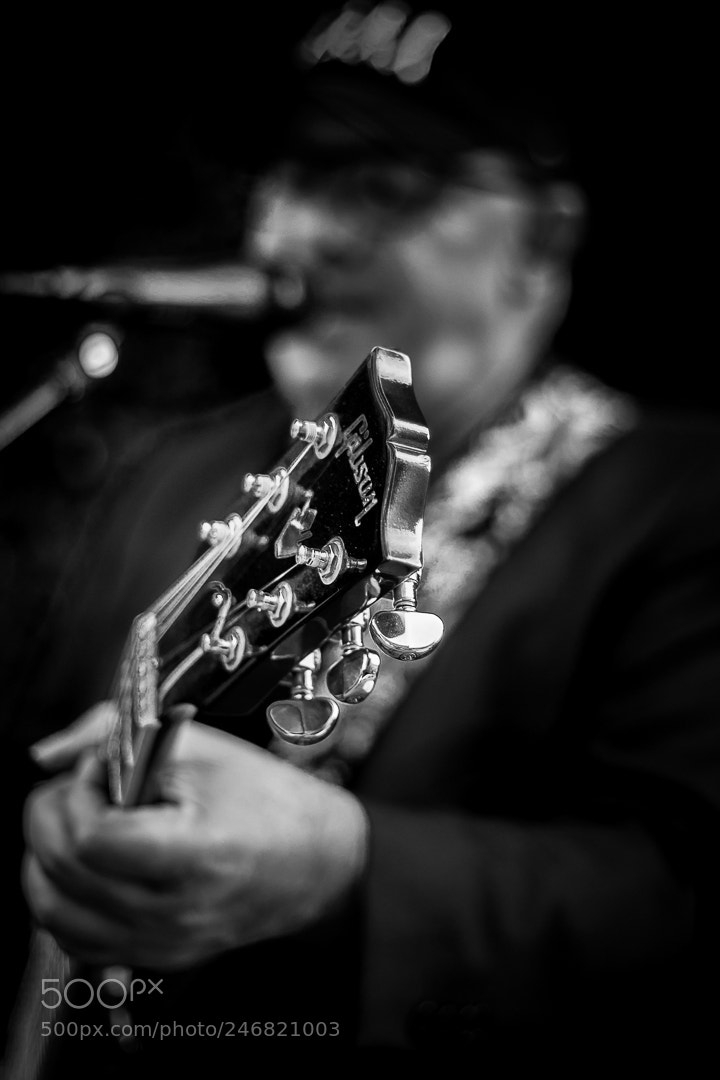 Canon EOS-1D Mark II sample photo. Gibson photography