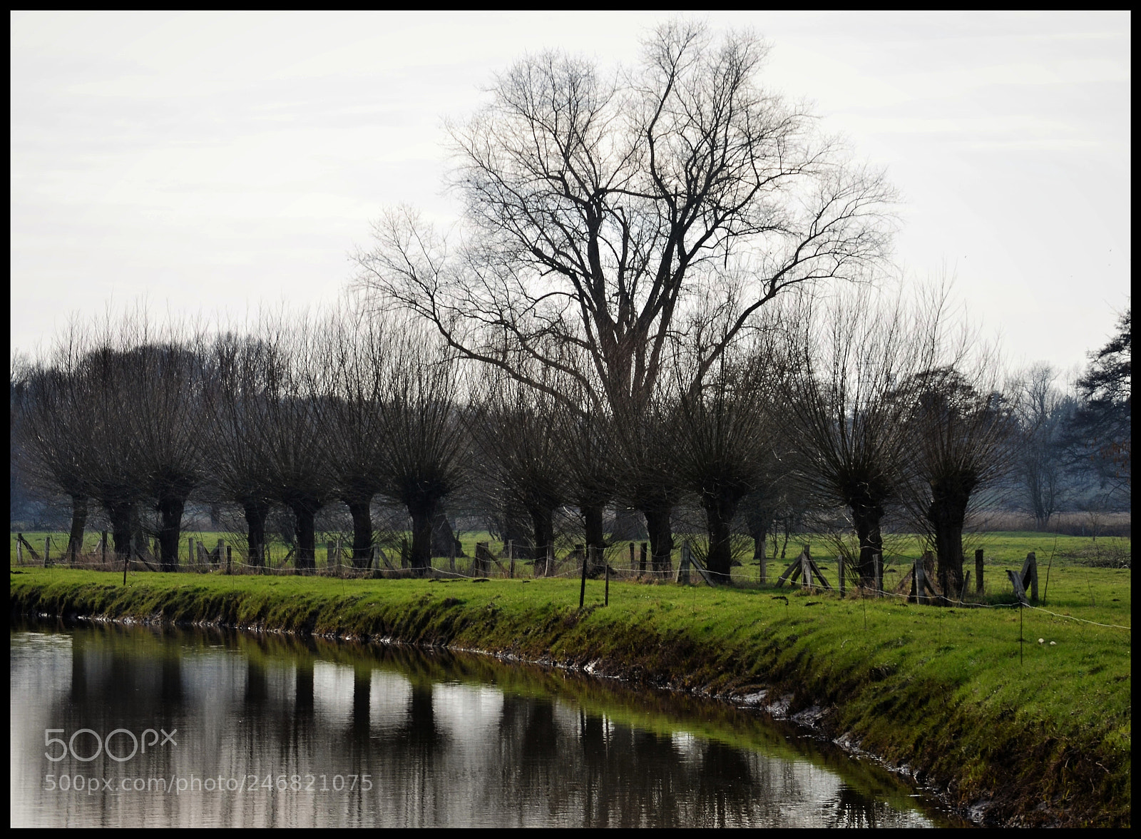 Nikon D5100 sample photo. Delmebogen photography