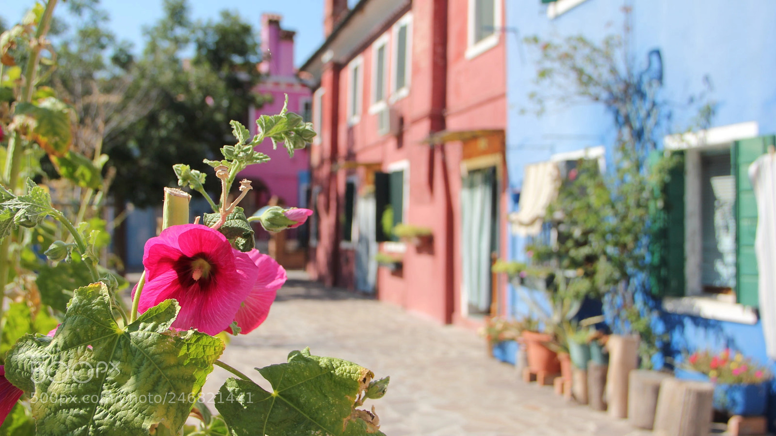 Canon EOS 550D (EOS Rebel T2i / EOS Kiss X4) sample photo. Burano () photography