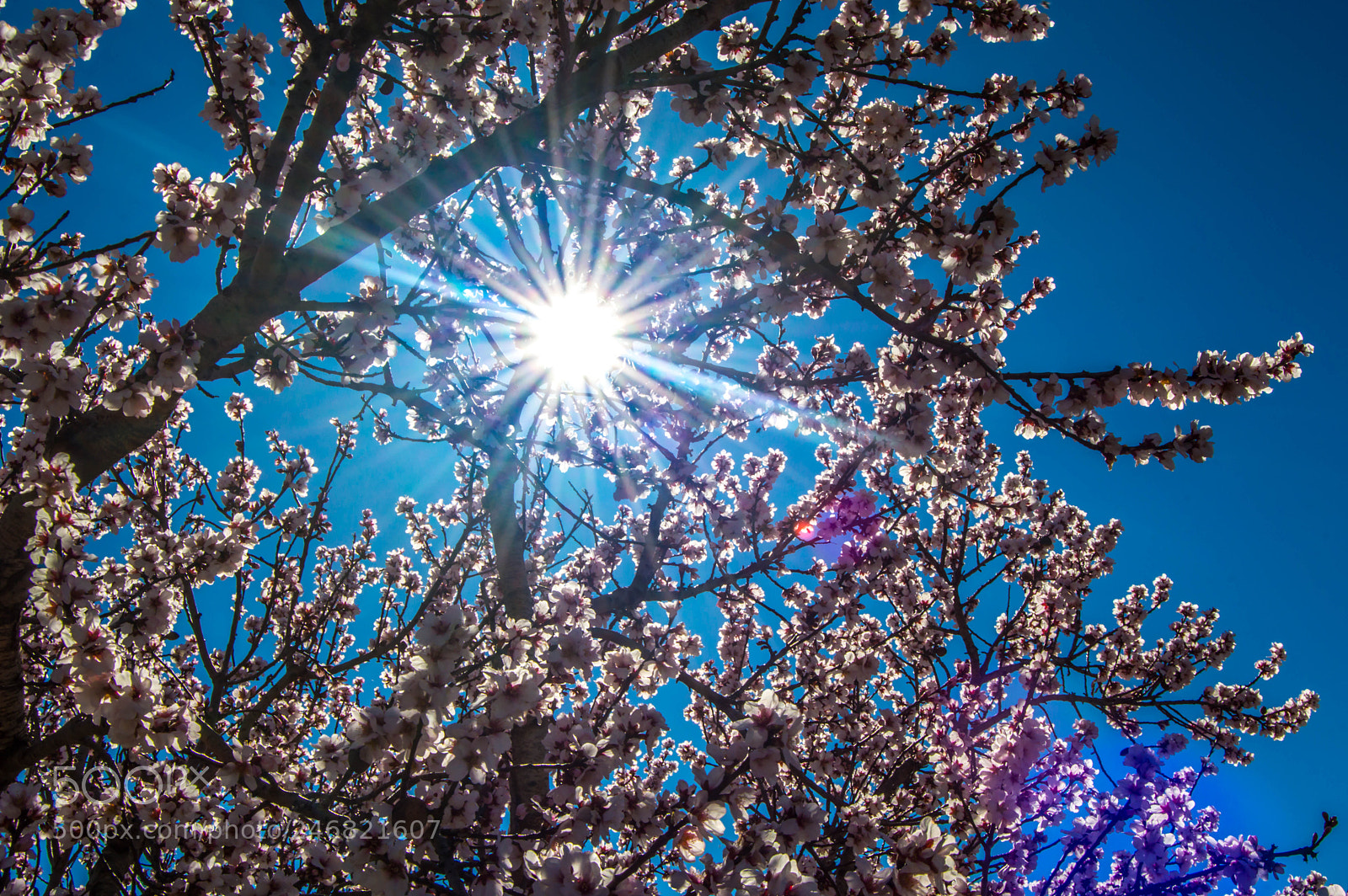 Nikon D3200 sample photo. Sun photography