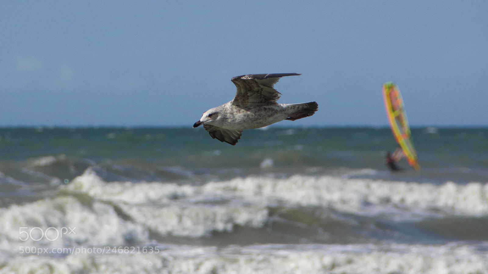 Canon EOS 550D (EOS Rebel T2i / EOS Kiss X4) sample photo. Cabourg () photography