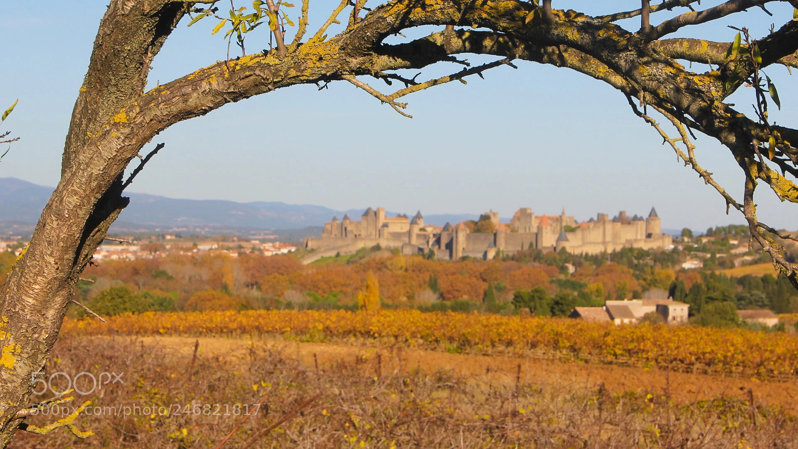 Canon EOS 550D (EOS Rebel T2i / EOS Kiss X4) sample photo. Carcassonne () photography