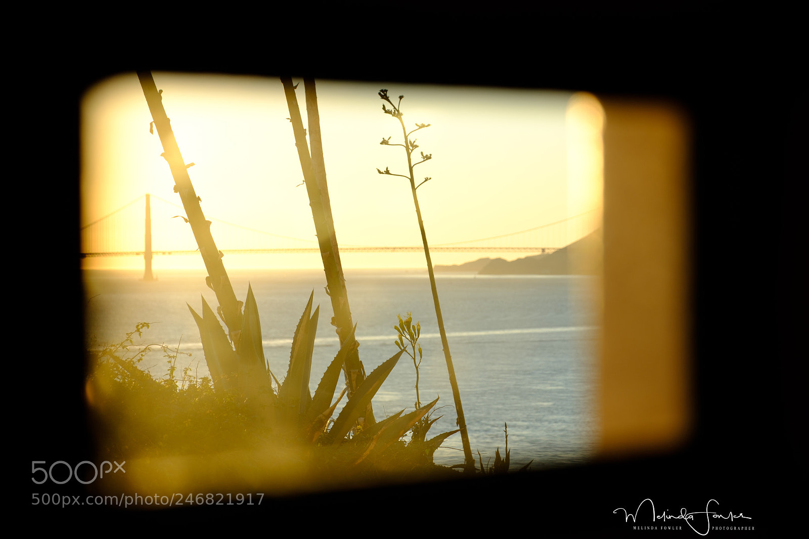 Fujifilm X-T2 sample photo. Photo365 photography