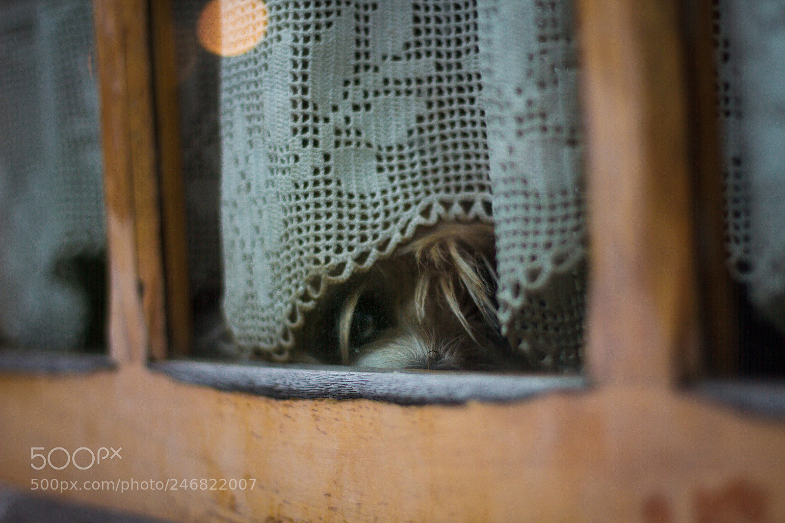 Canon EOS 7D sample photo. Sweet home photography