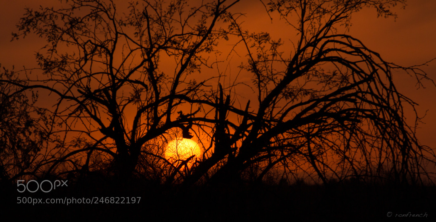 Canon EOS 7D sample photo. Dirty sky sunset photography