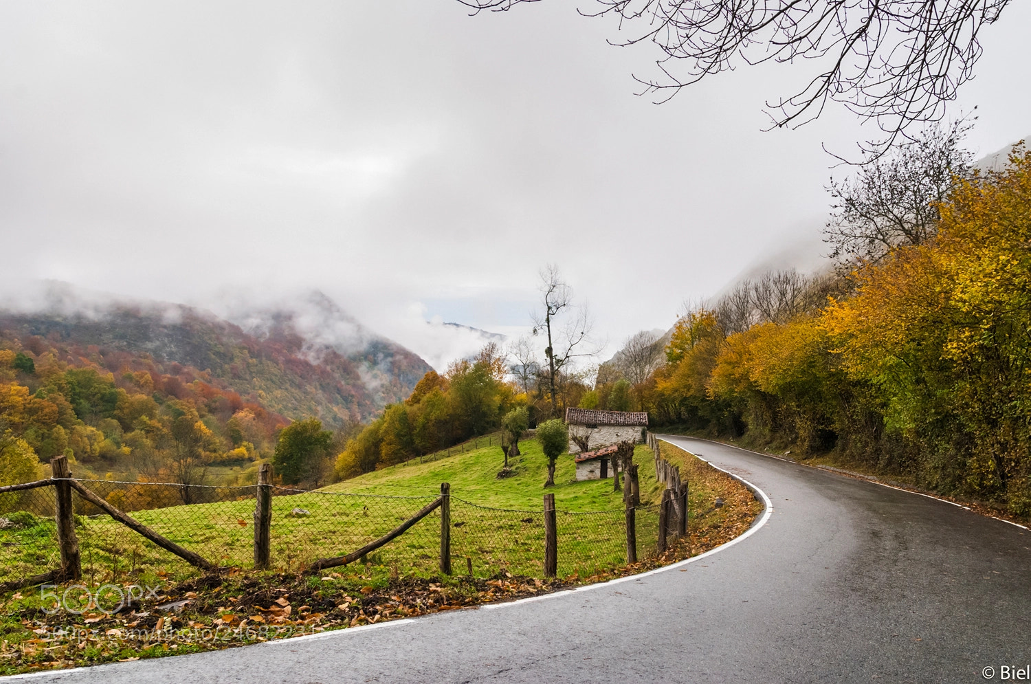 Nikon D80 sample photo. Autumn memories iii photography