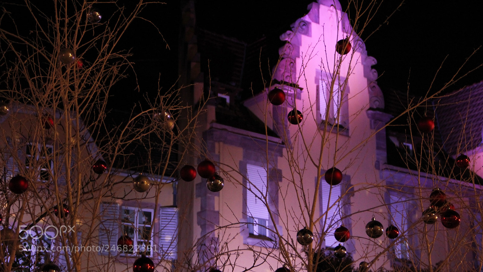 Canon EOS 550D (EOS Rebel T2i / EOS Kiss X4) sample photo. Colmar () photography