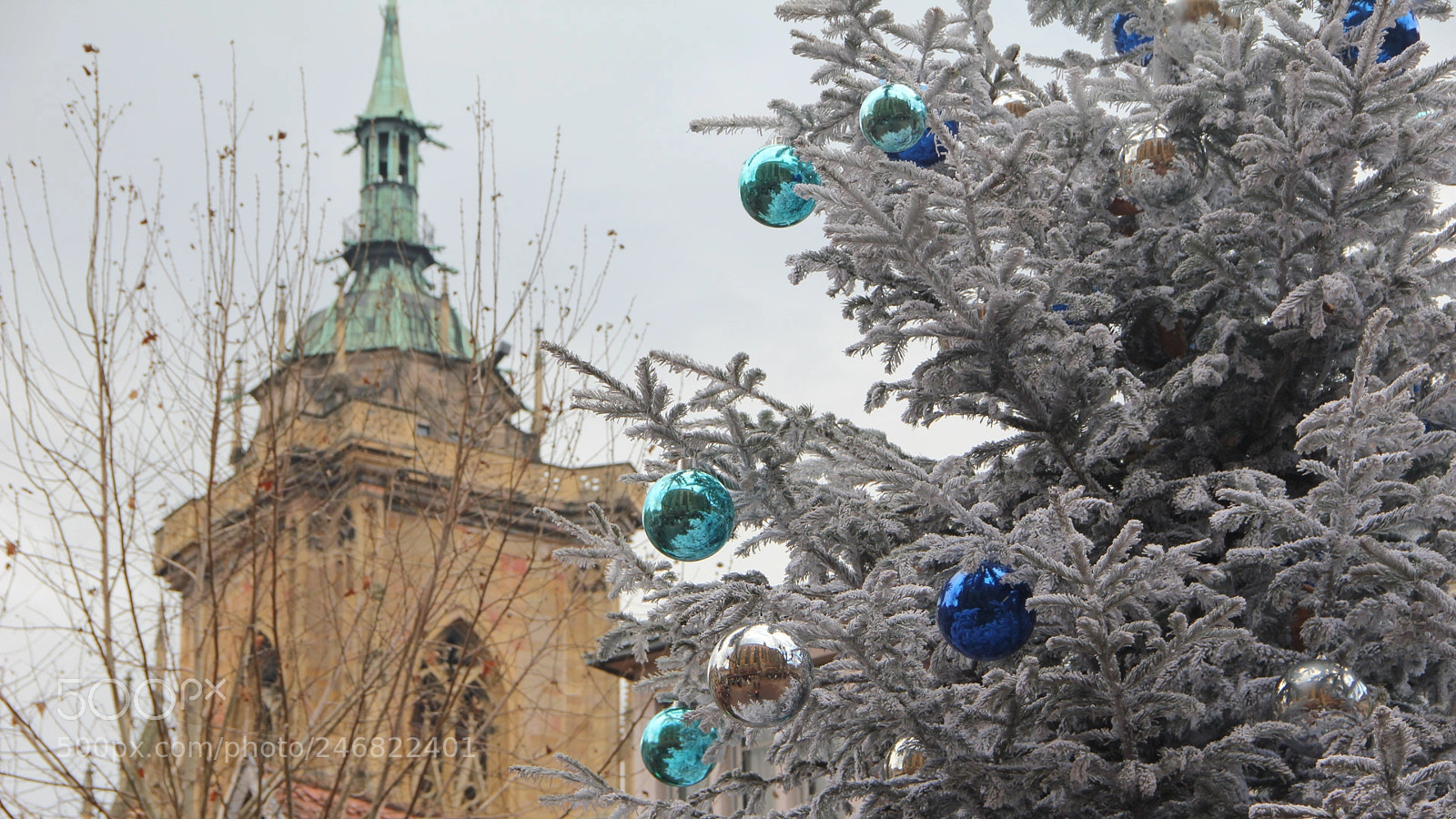Canon EOS 550D (EOS Rebel T2i / EOS Kiss X4) sample photo. Colmar () photography