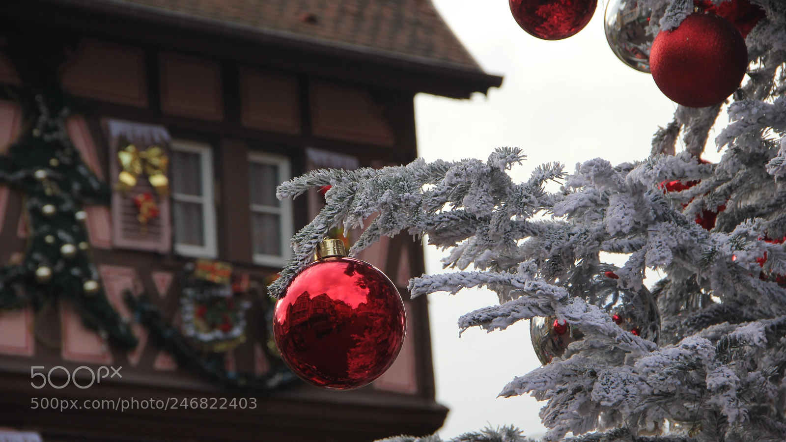 Canon EOS 550D (EOS Rebel T2i / EOS Kiss X4) sample photo. Colmar () photography