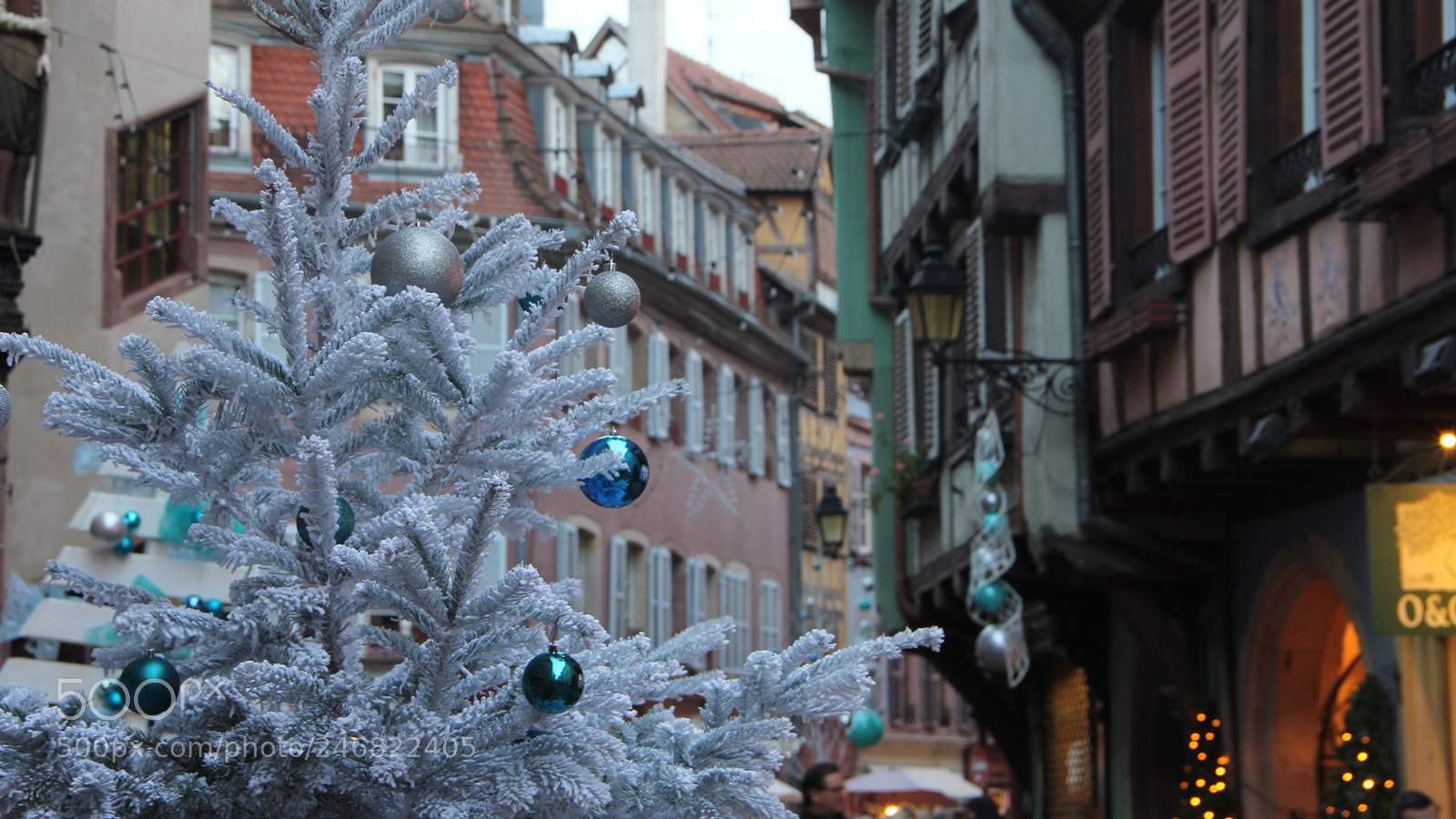 Canon EOS 550D (EOS Rebel T2i / EOS Kiss X4) sample photo. Colmar () photography