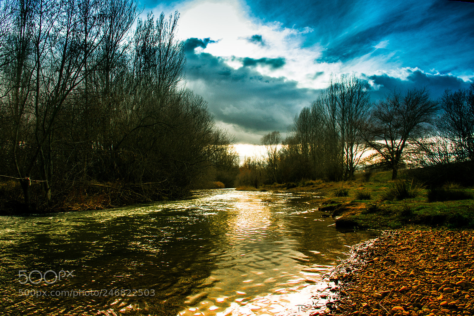 Nikon D7200 sample photo. Mistic river photography