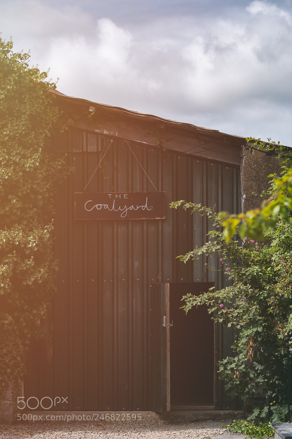 Nikon D800 sample photo. The coalyard photography