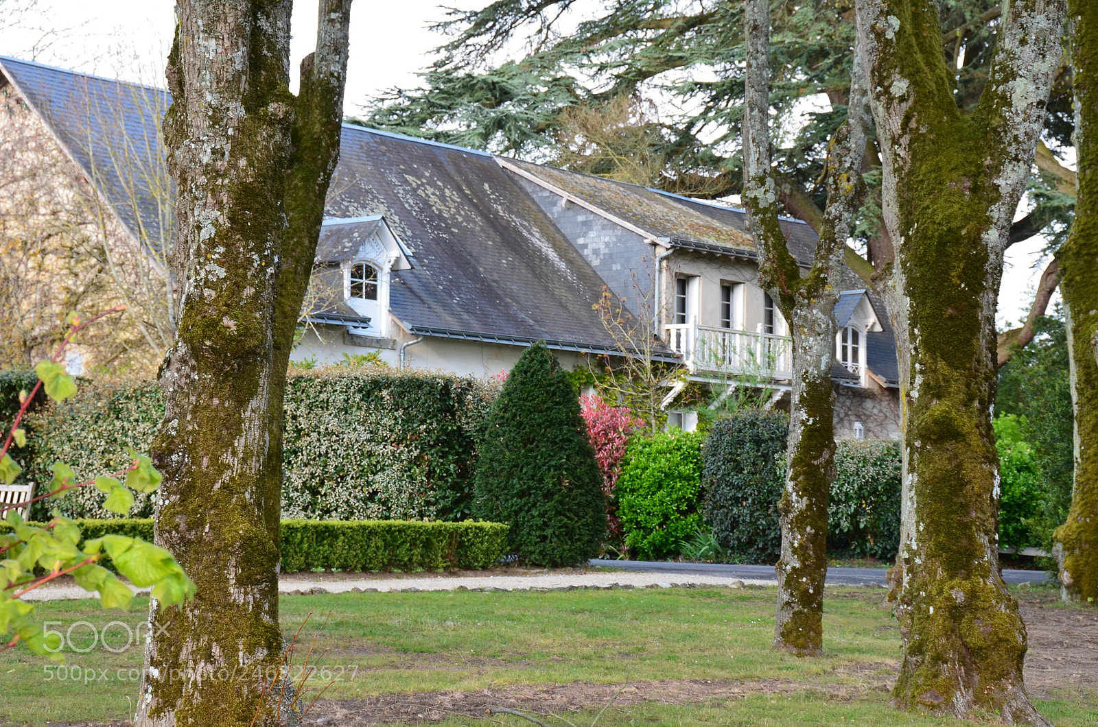 Nikon D5100 sample photo. Colors photography