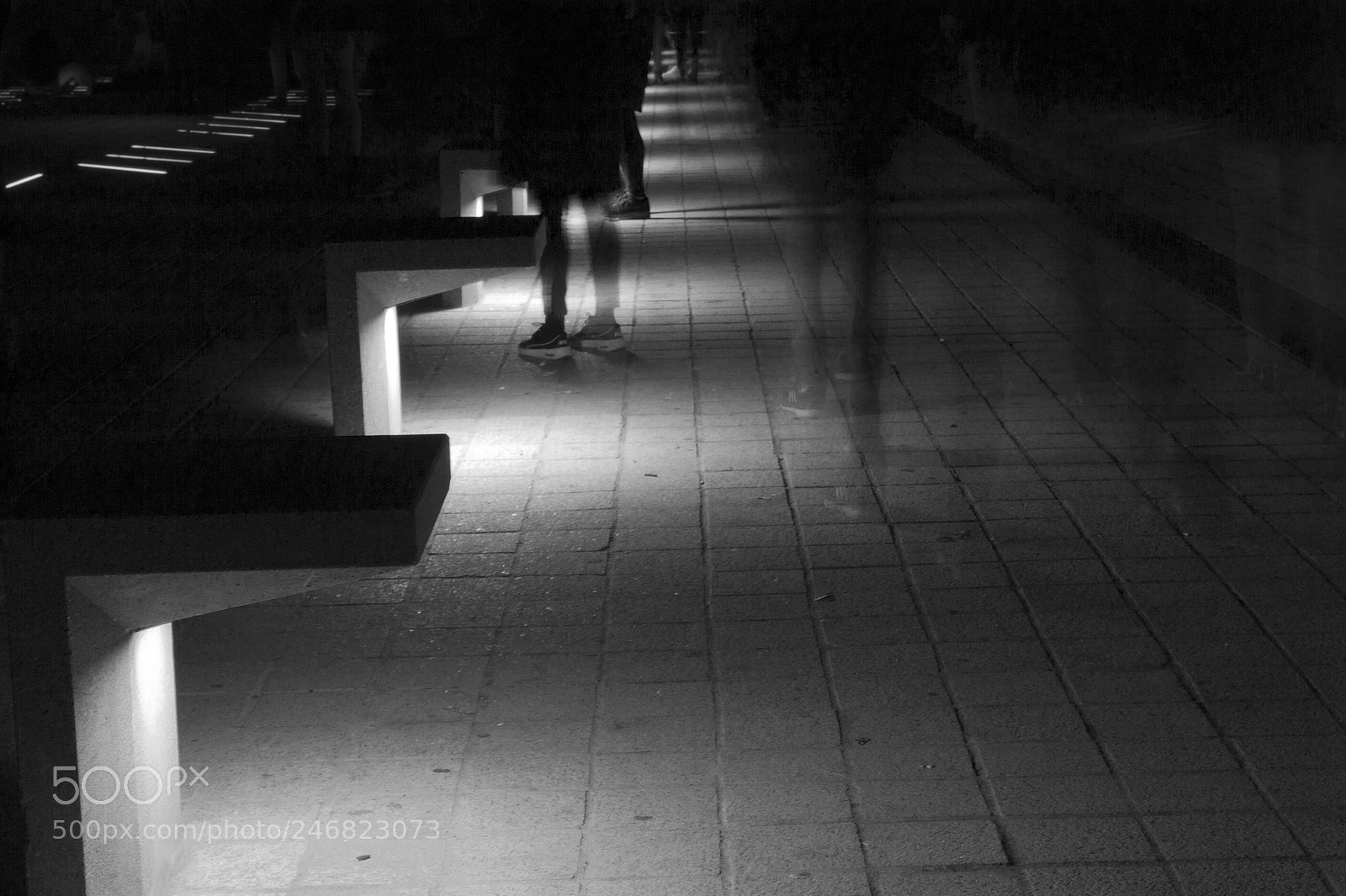 Nikon D700 sample photo. Untitled photography