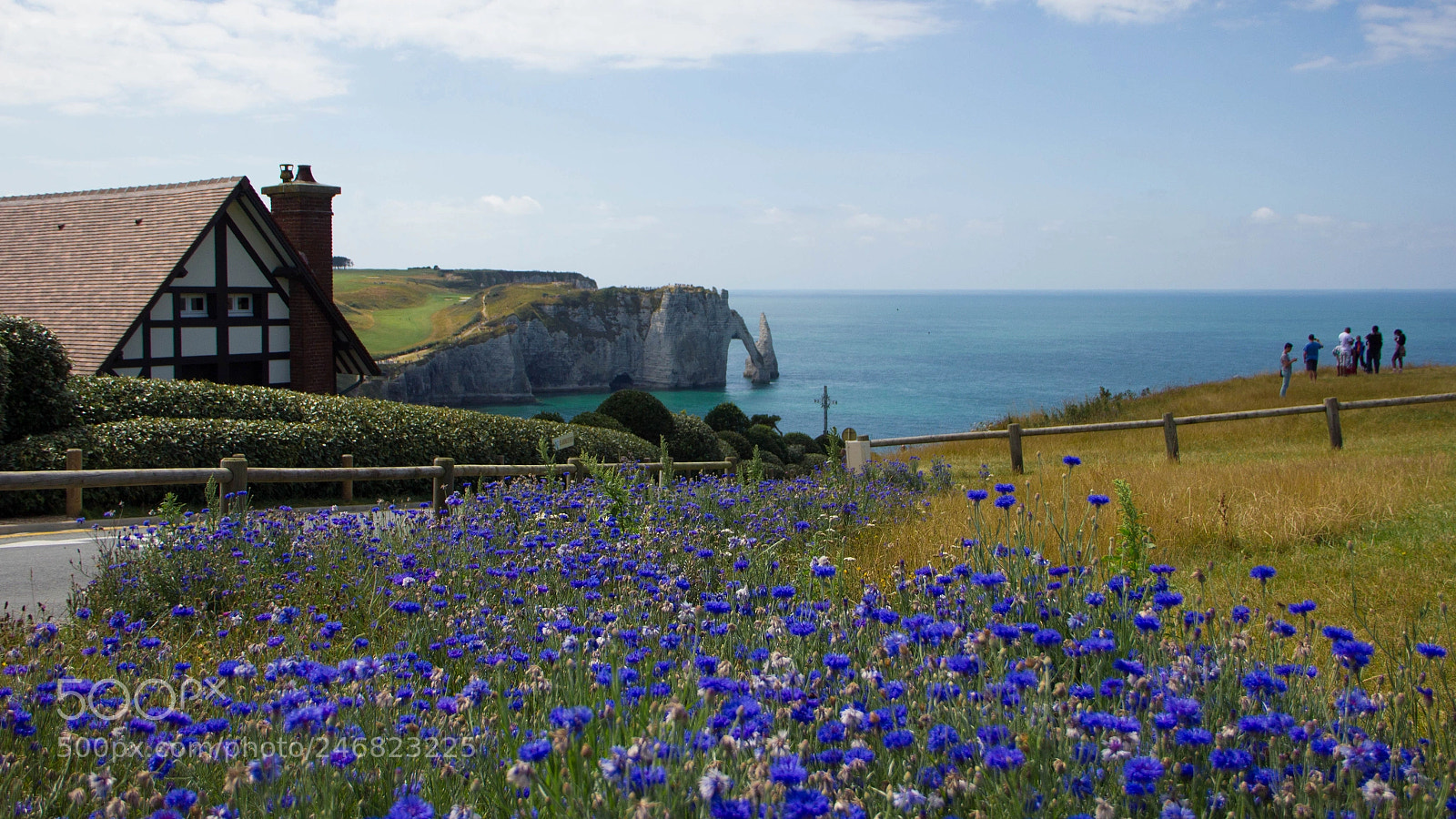 Canon EOS 550D (EOS Rebel T2i / EOS Kiss X4) sample photo. Etretat () photography