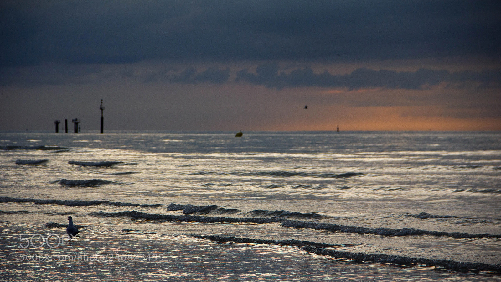 Canon EOS 550D (EOS Rebel T2i / EOS Kiss X4) sample photo. Honfleur () photography