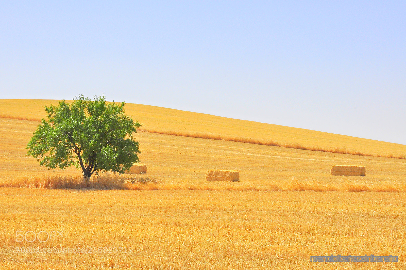 Nikon D90 sample photo. Fbc o photography