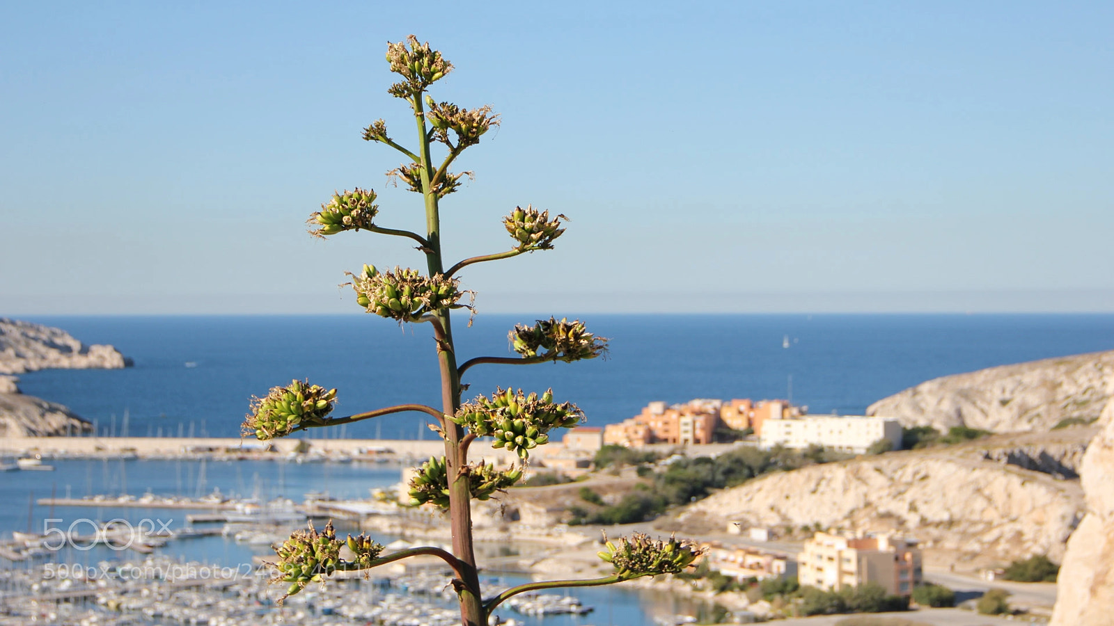 Canon EOS 550D (EOS Rebel T2i / EOS Kiss X4) sample photo. Iles du frioul () photography