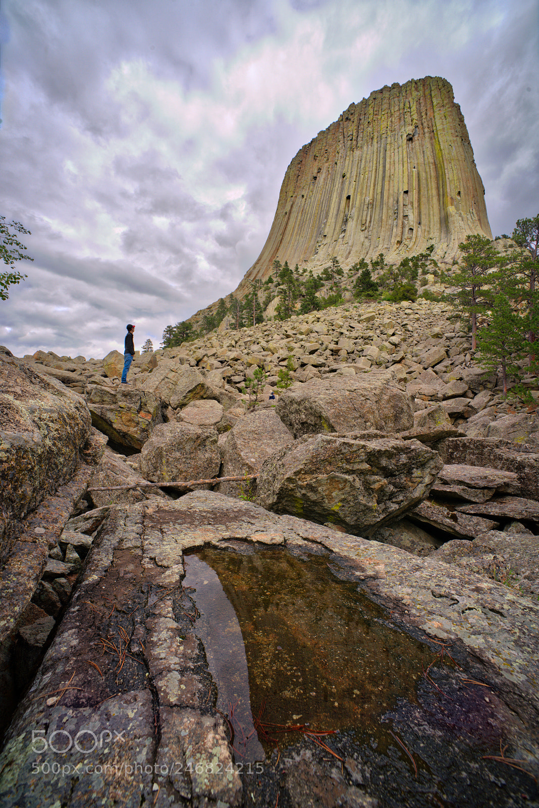 Nikon D800 sample photo. Devils tower photography