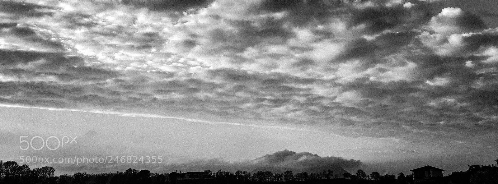 Apple iPhone SE sample photo. Untitled photography