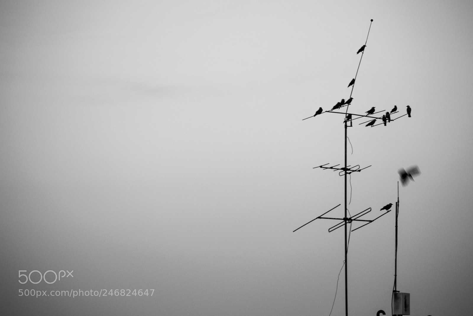 Nikon D3100 sample photo. On the roof photography