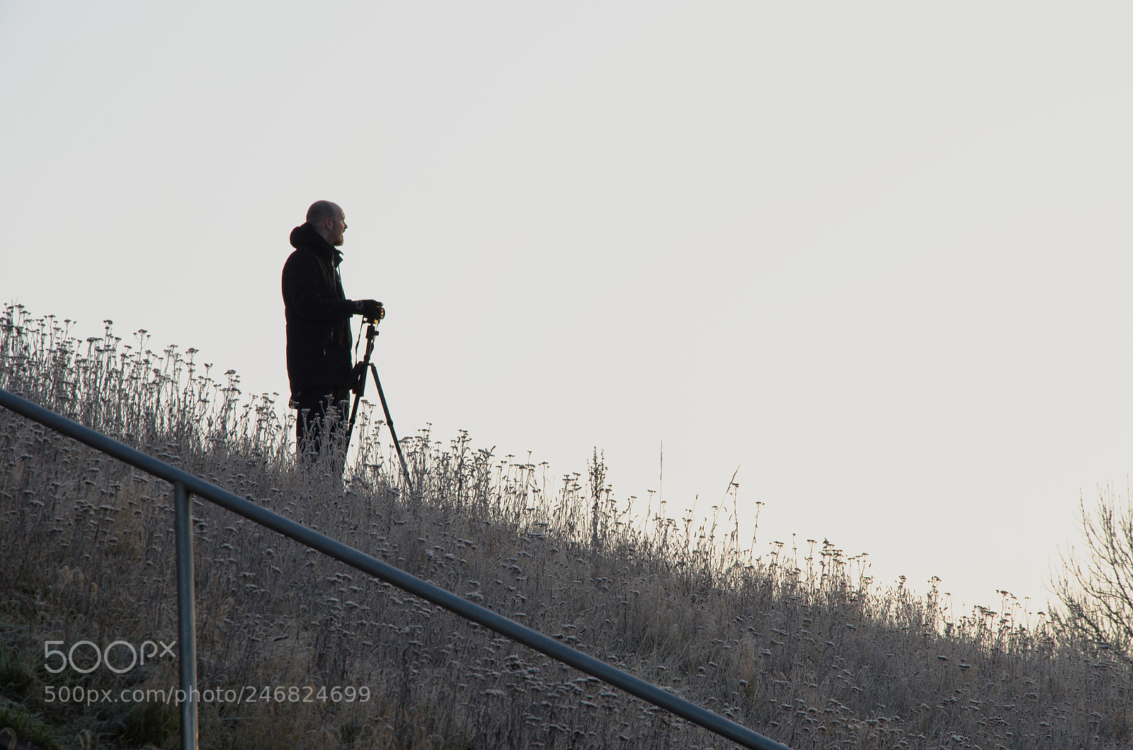 Nikon D5100 sample photo. Waiting for the moment photography