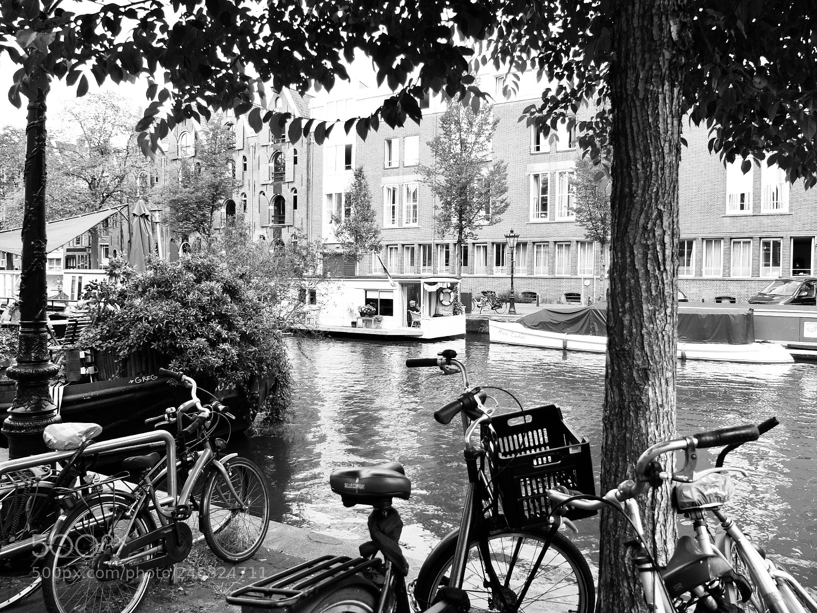 Fujifilm X10 sample photo. Untitled photography