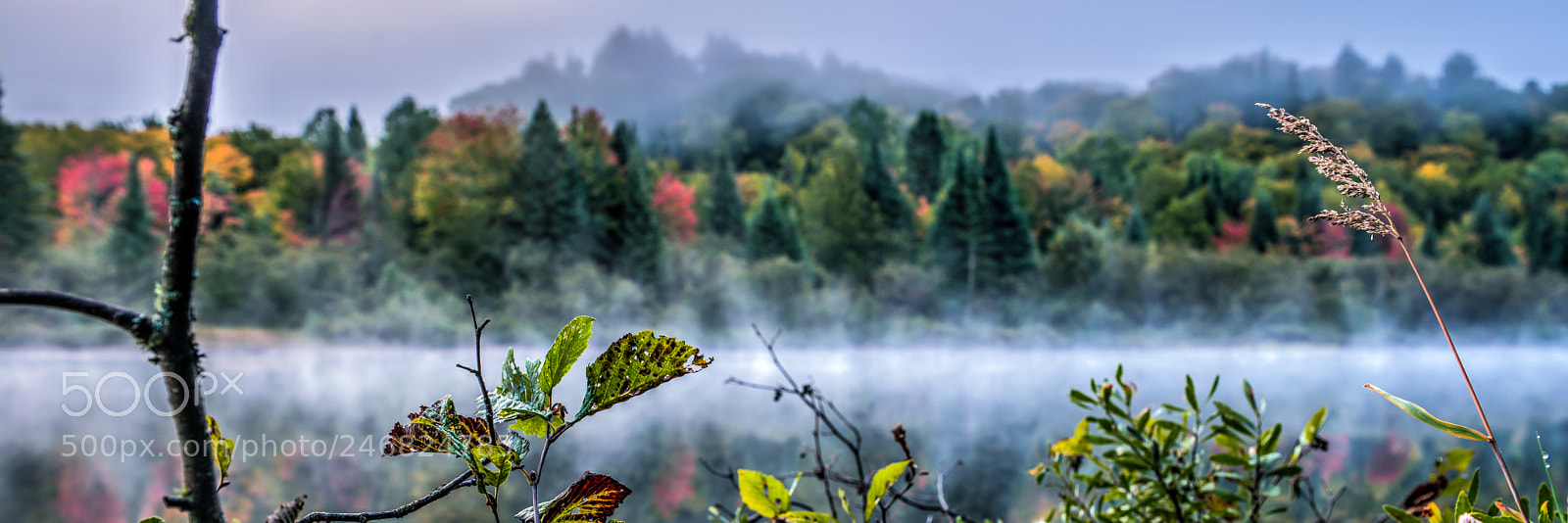 Nikon D800E sample photo. Lake monroe, qu bec photography